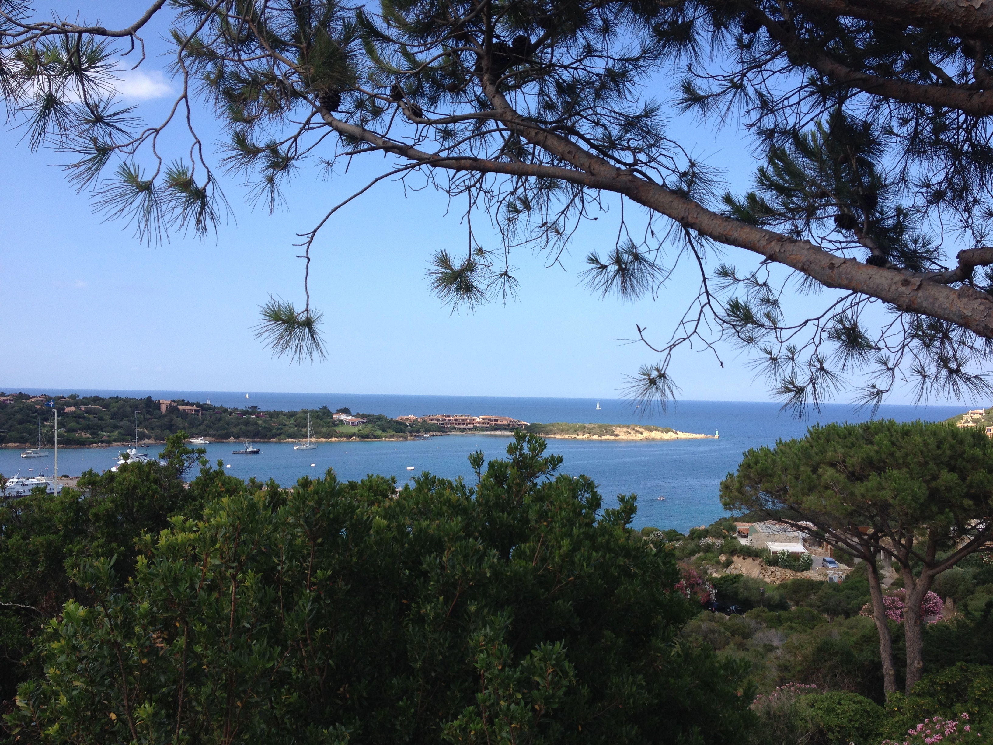 照片 意大利(Italy) 撒丁岛(Sardinia) 切尔沃港(Porto Cervo) 2015-06 15