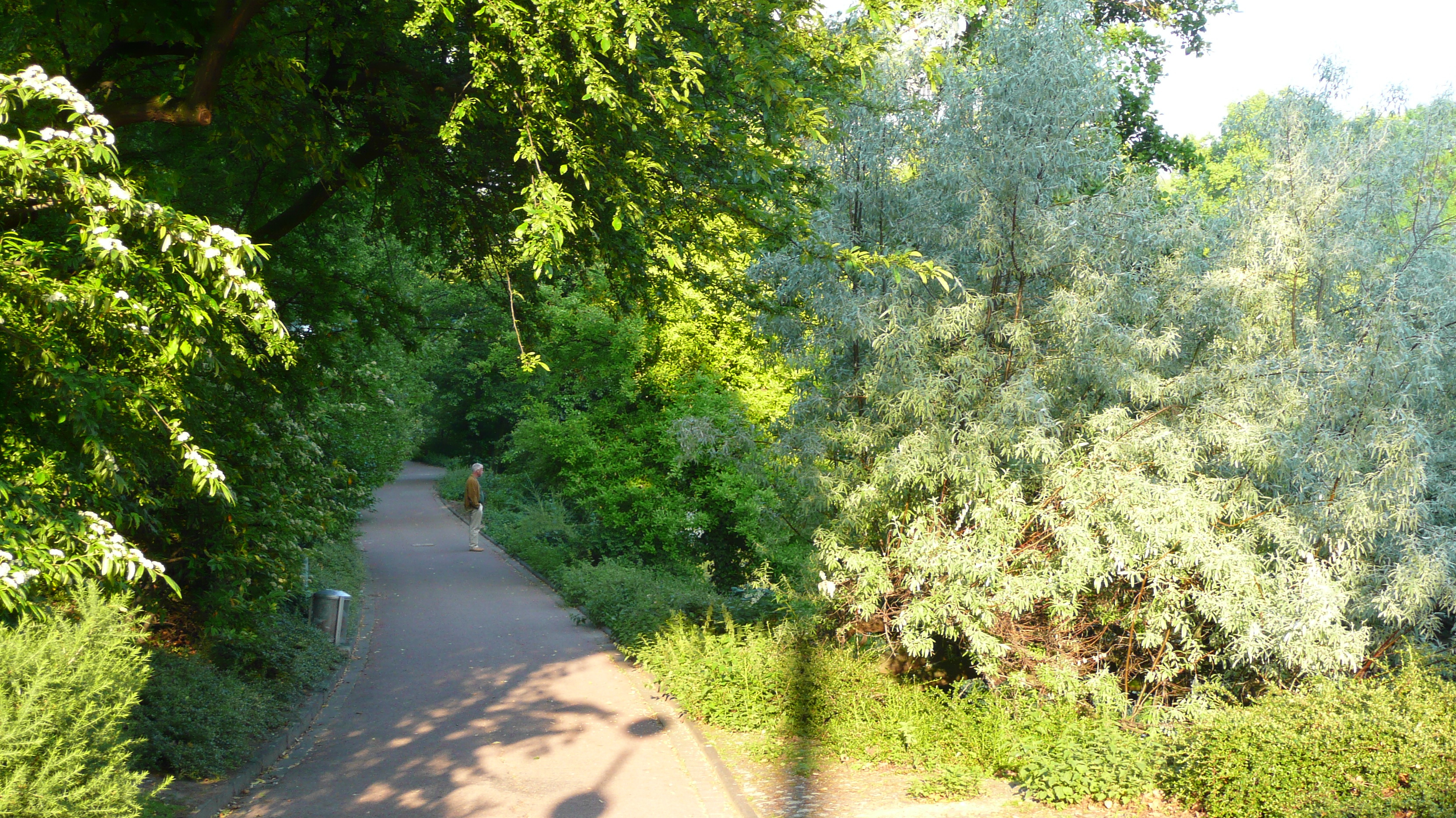 照片 德国(Germany) 杜塞尔多夫(Dusseldorf) 2007-05 84