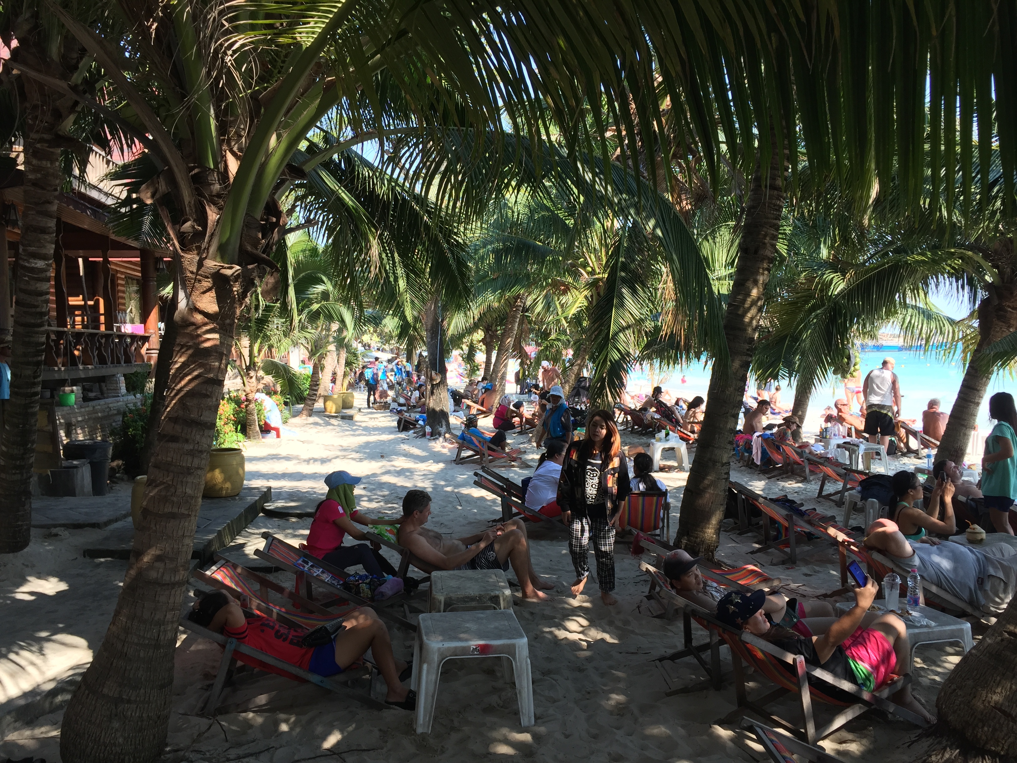照片 泰国(Thailand) 沙美岛(Ko Samet) 2016-01 60