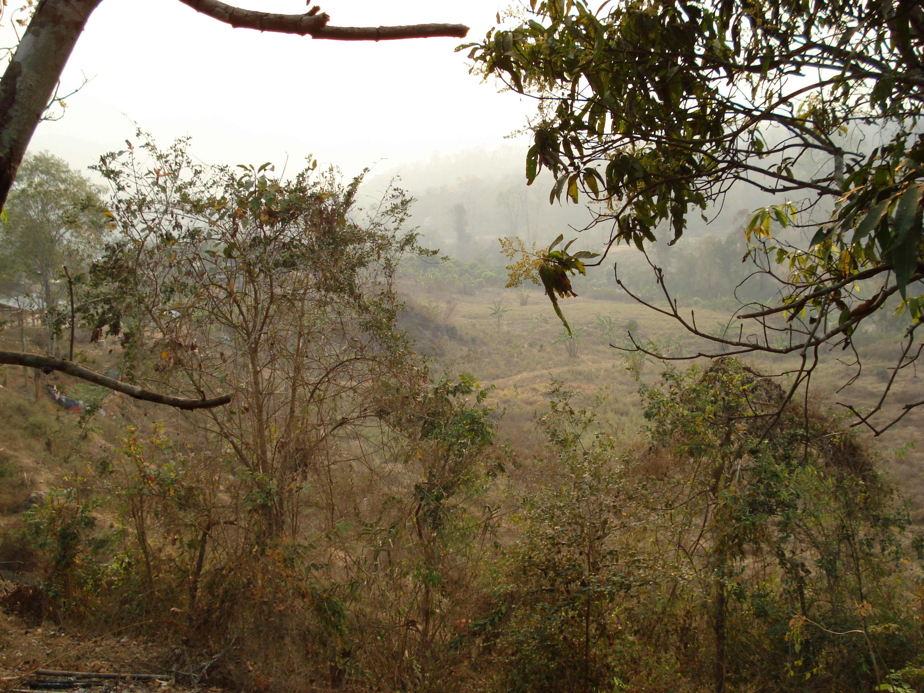 照片 泰国(Thailand) 邦玛帕(Pang Mapha) 2007-02 148