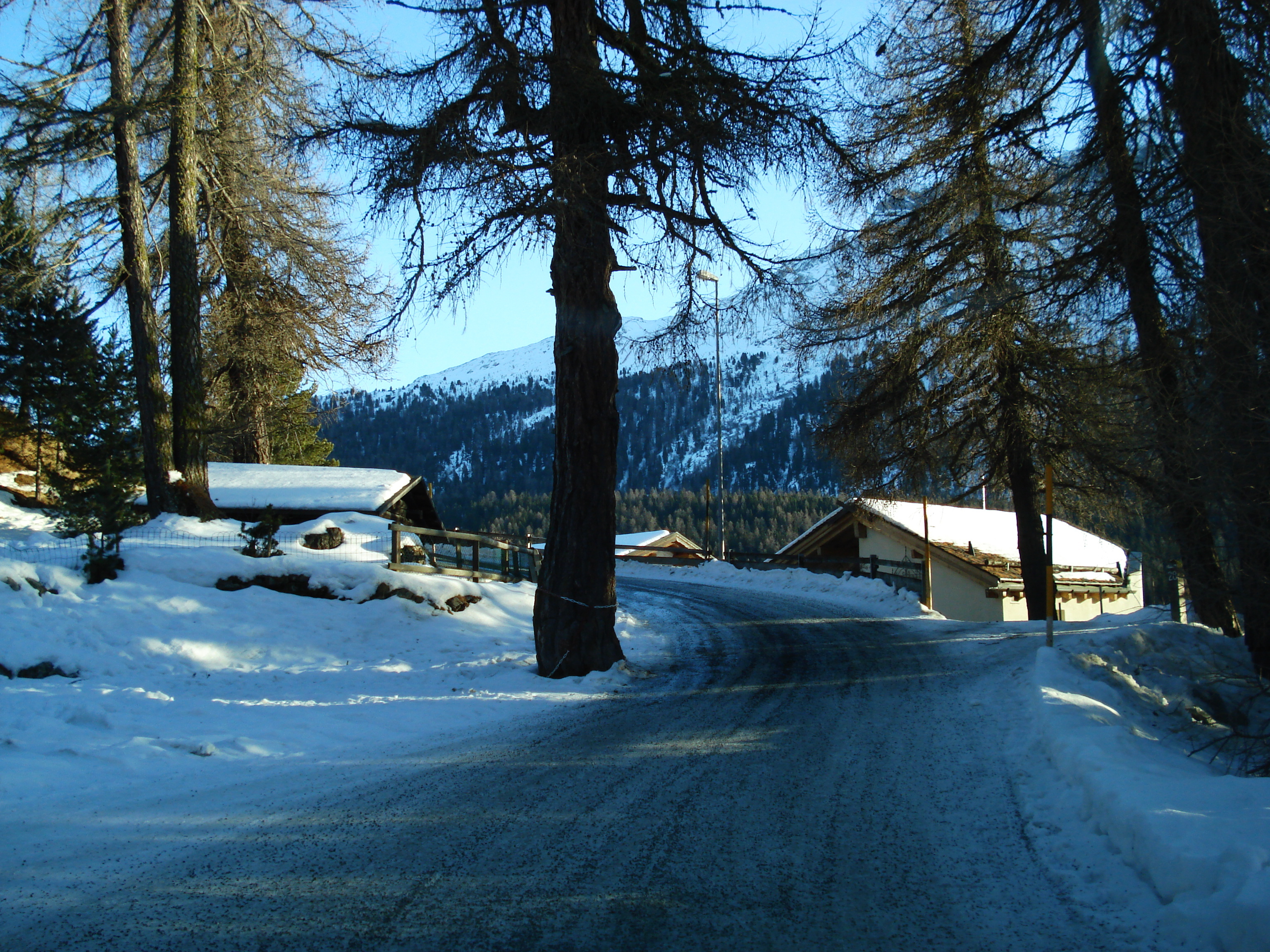 照片 瑞士(Switzerland) 圣莫里茨施拉里尼亚(St Moritz Schlarigna) 2007-01 56