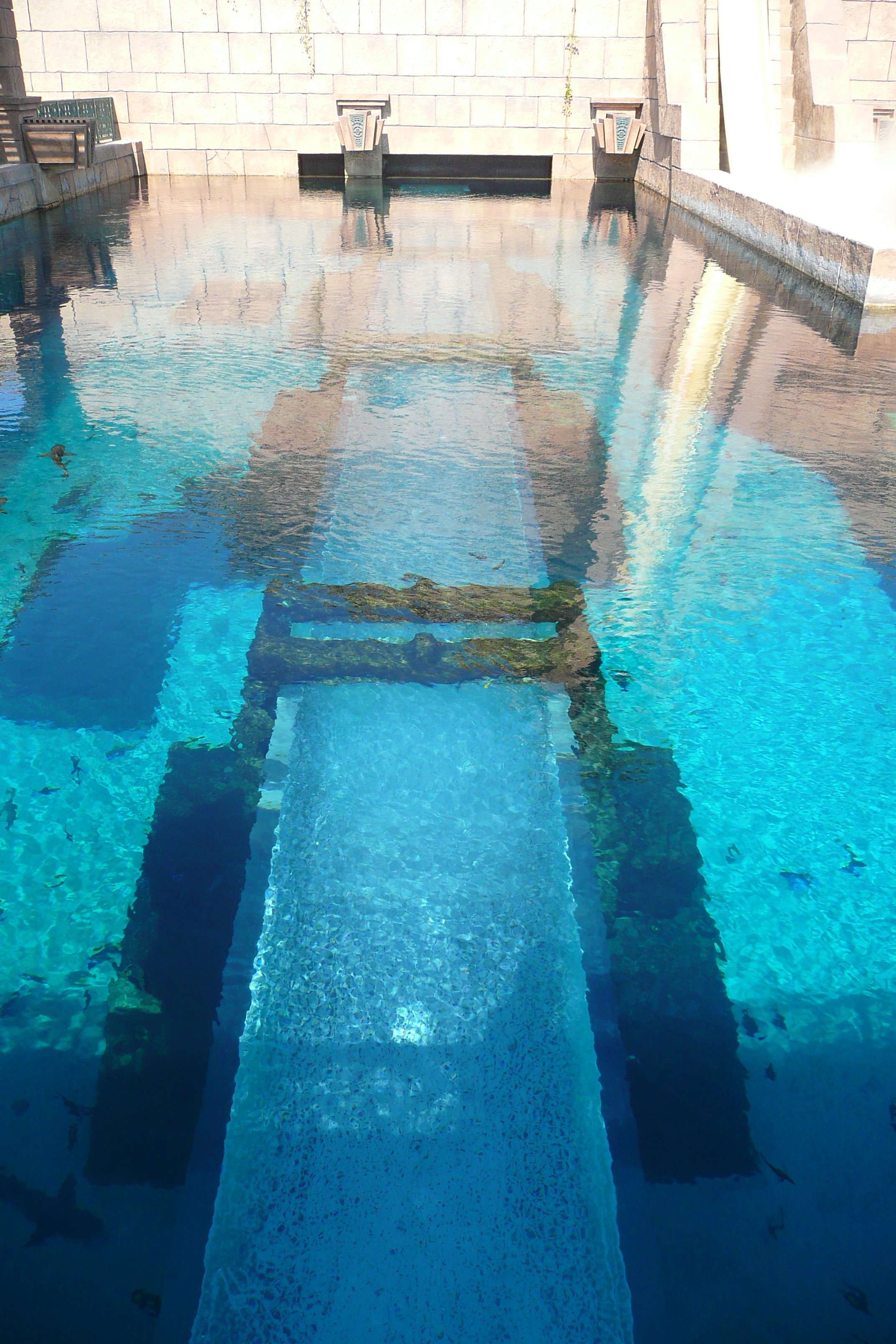 照片 阿联酋(United Arab Emirates) 迪拜(Dubai) 迪拜水世界(Dubai Aquaventure) 2009-01 4