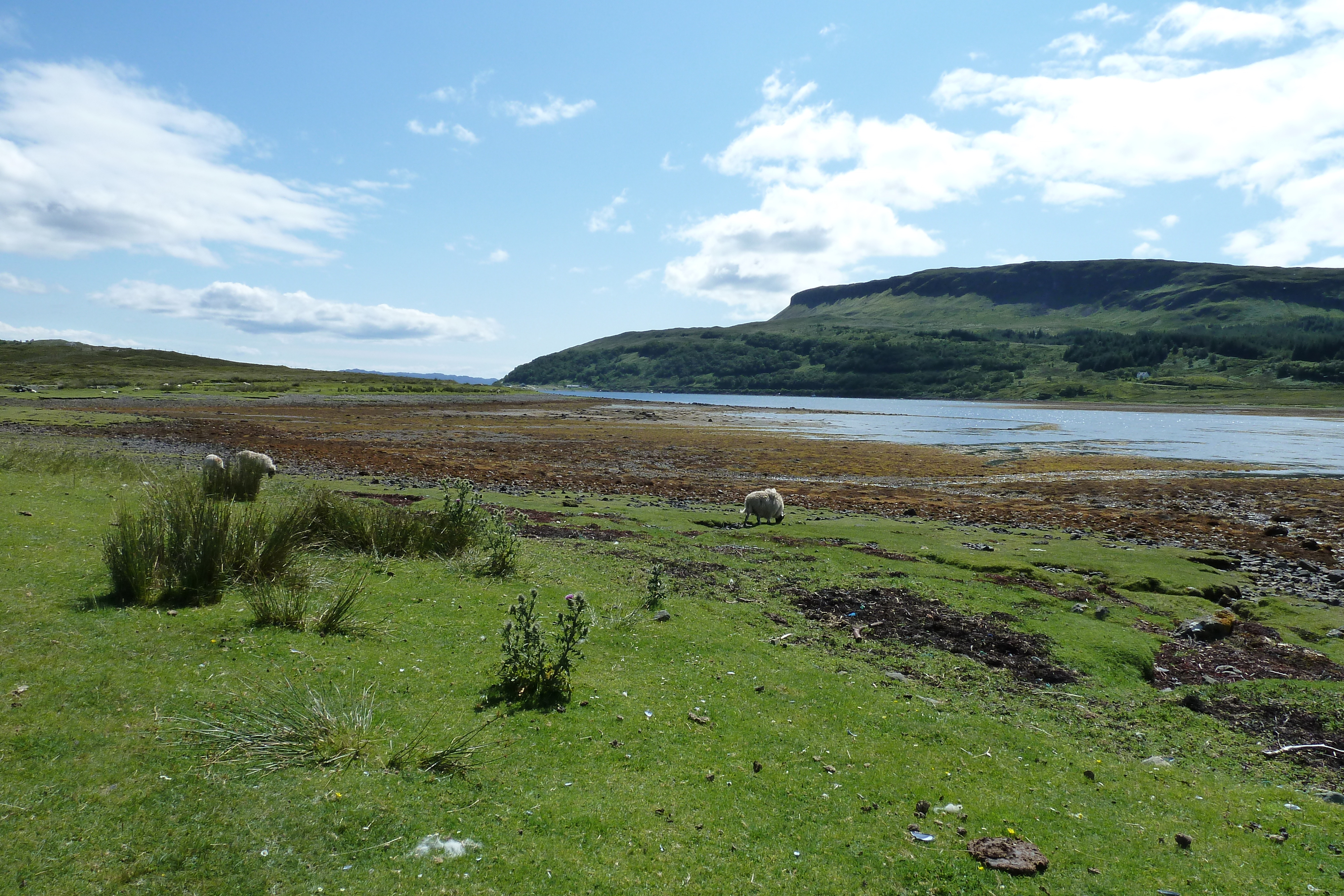 照片 英国(United Kingdom) 斯凯岛(Skye) 库林山脉(The Cuillin) 2011-07 31