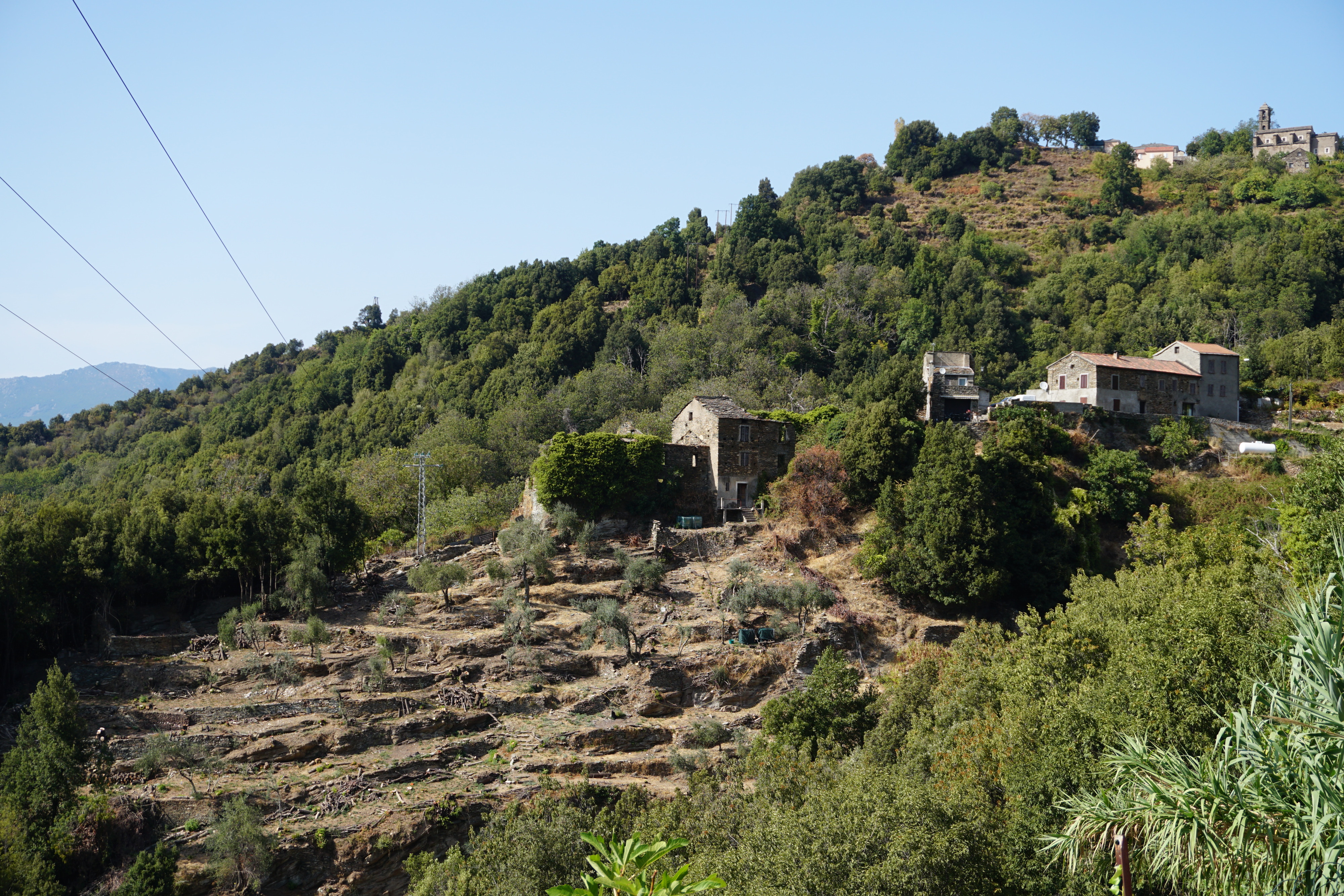 照片 法国(France) 科西嘉岛(Corsica) 费拉贾(Ferlaggia) 2017-09 16