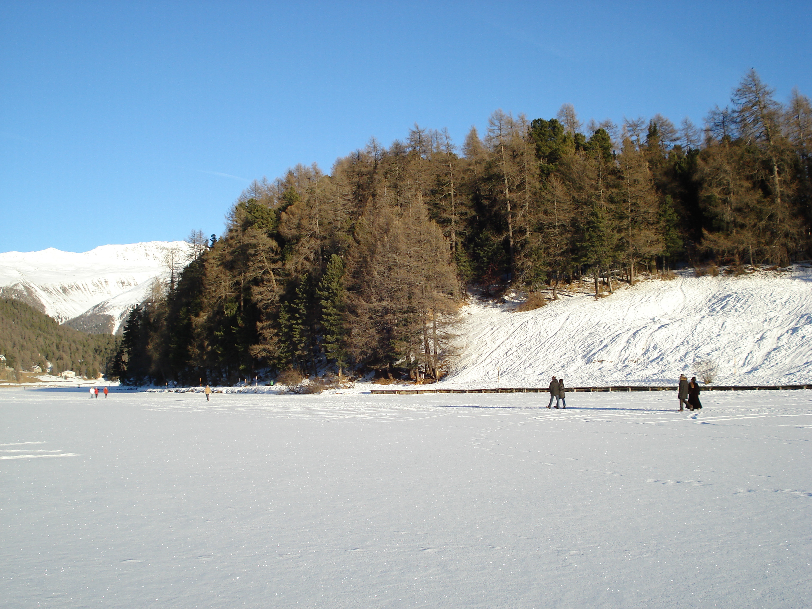 照片 瑞士(Switzerland) 圣莫里茨(St Moritz) 2007-01 245