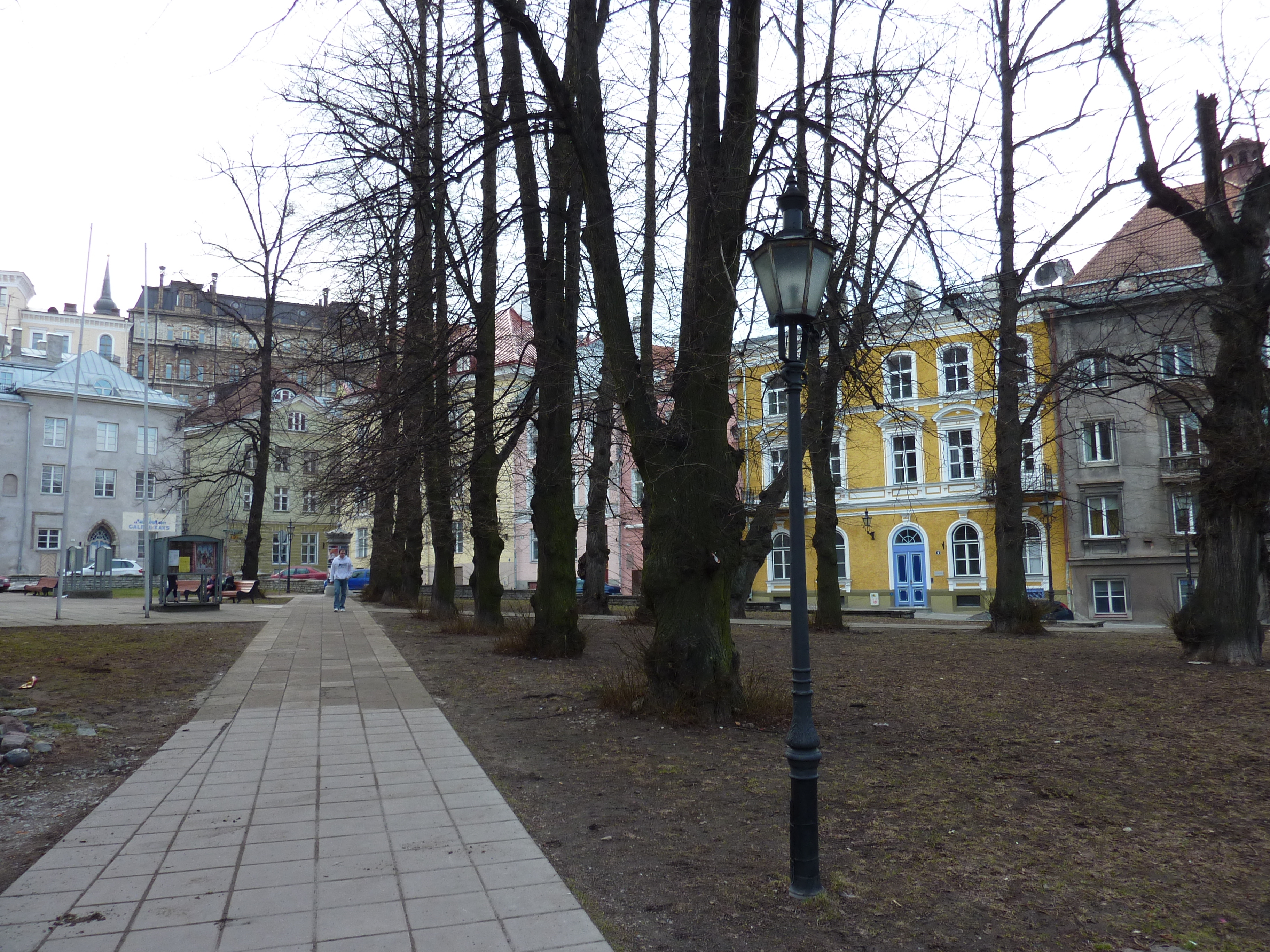 照片 爱沙尼亚(Estonia) 塔林(Tallinn) 塔林老城(Old Tallinn) 2009-04 10