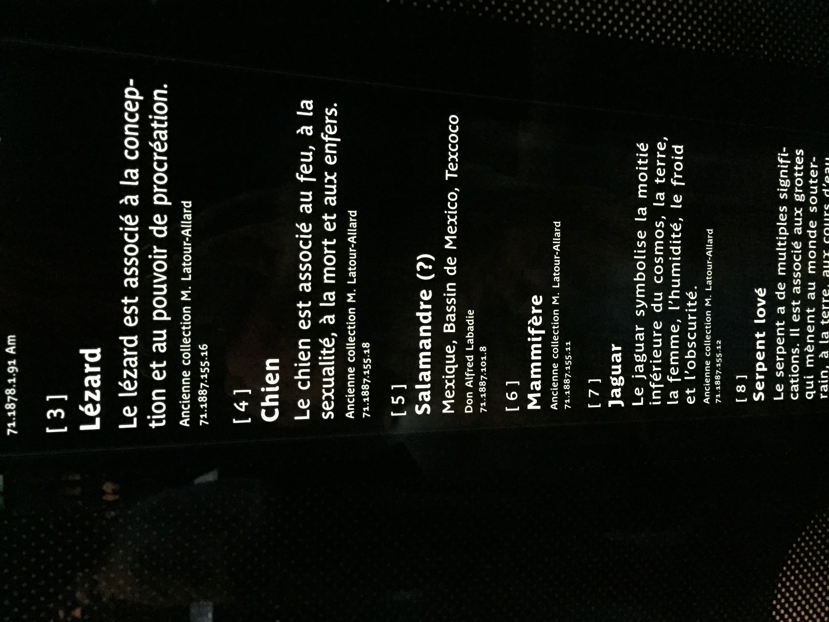 照片 法国(France) 巴黎(Paris) 布朗利河岸博物馆(Quai Branly Museum) 2015-09 15