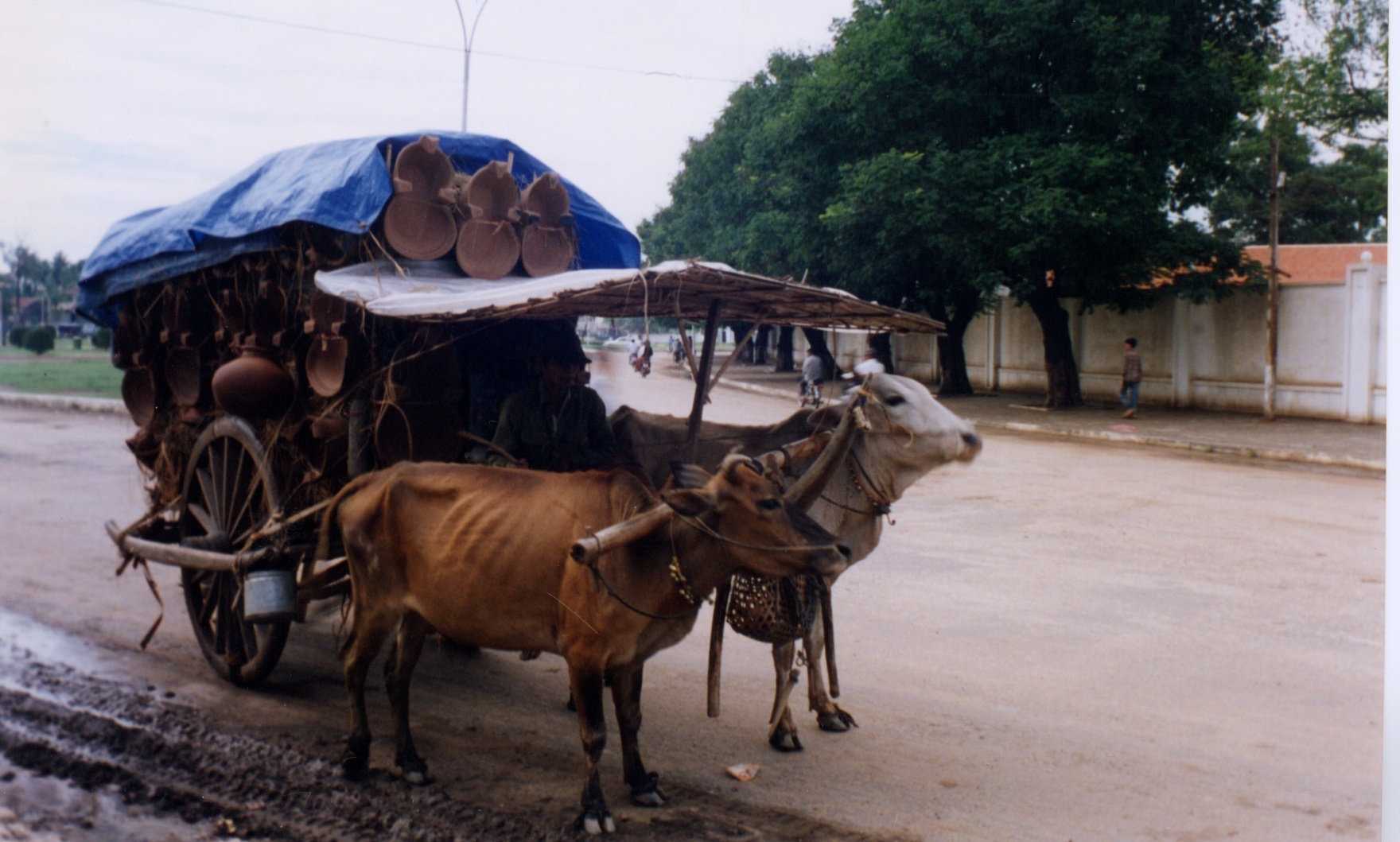 照片 柬埔寨(Cambodia) 金边(Phnom Penh) 1996-06 34