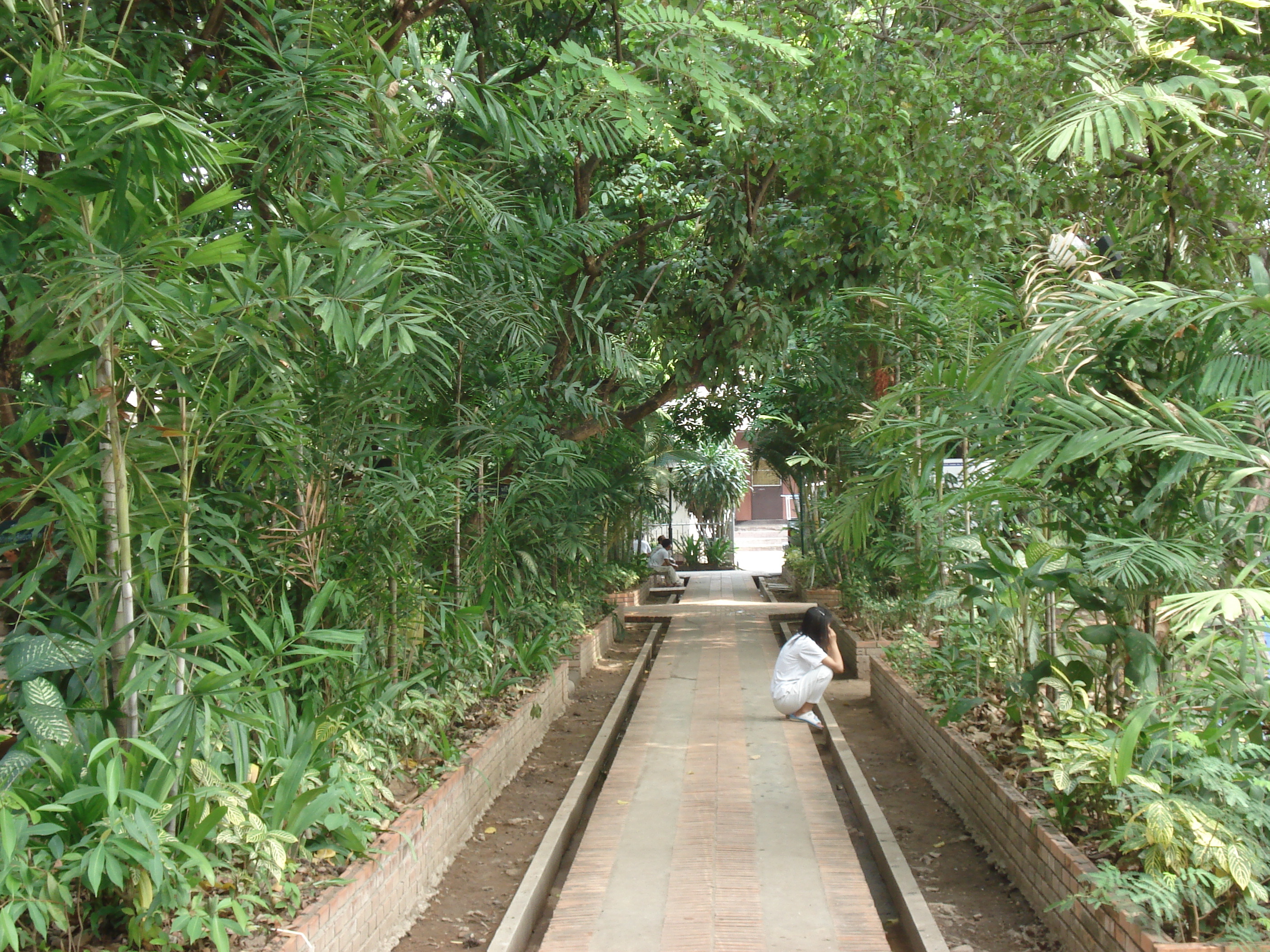 照片 泰国(Thailand) 清迈(Chiang Mai) 2006-04 19