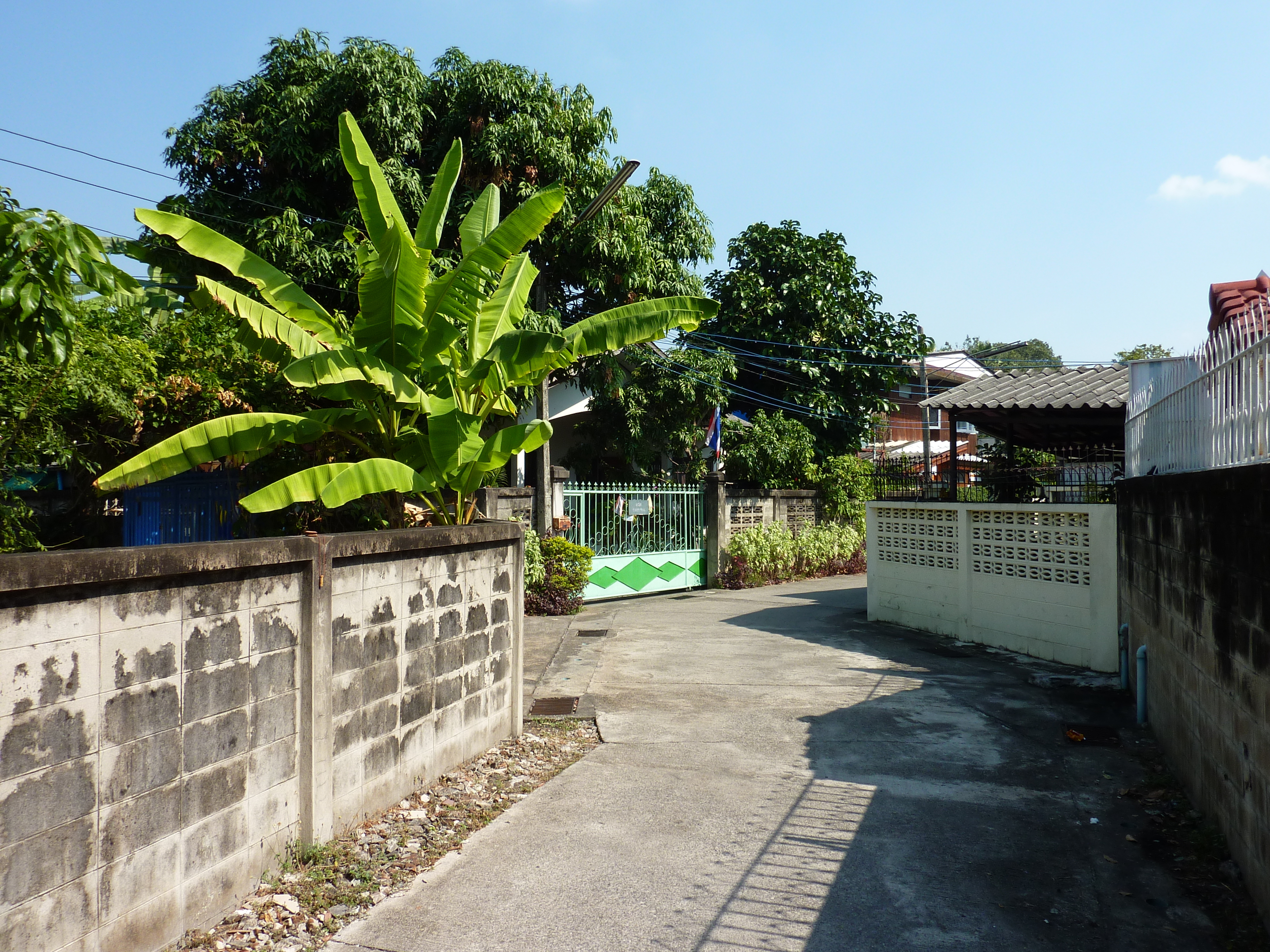 照片 泰国(Thailand) 清迈(Chiang Mai) 三兰路(Sam Lan Road) 2009-12 10