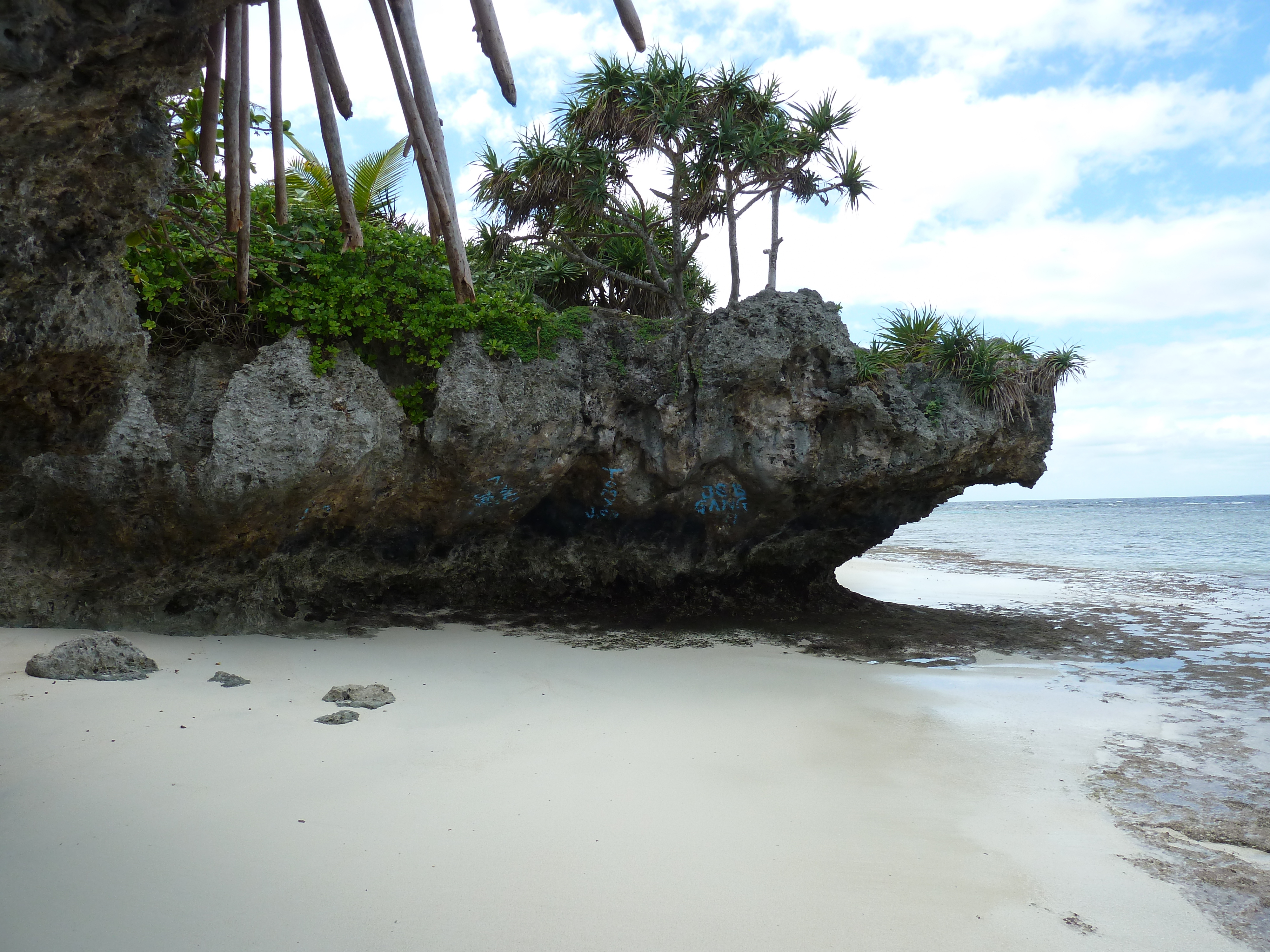 照片 新喀里多尼亚(New Caledonia) 利富岛(Lifou) 海龟湾(Baie des tortues) 2010-05 24