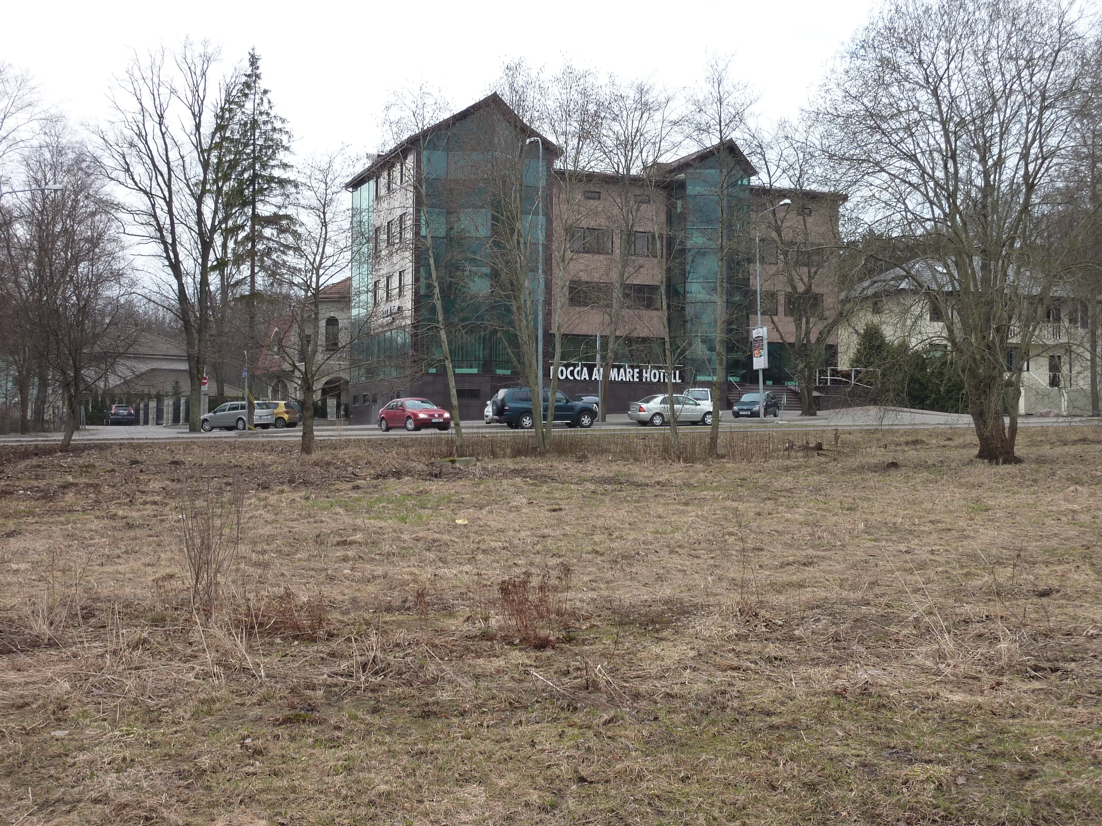 照片 爱沙尼亚(Estonia) 塔林至哈普萨卢公路(Tallinn to Haapsalu road) 2009-04 47