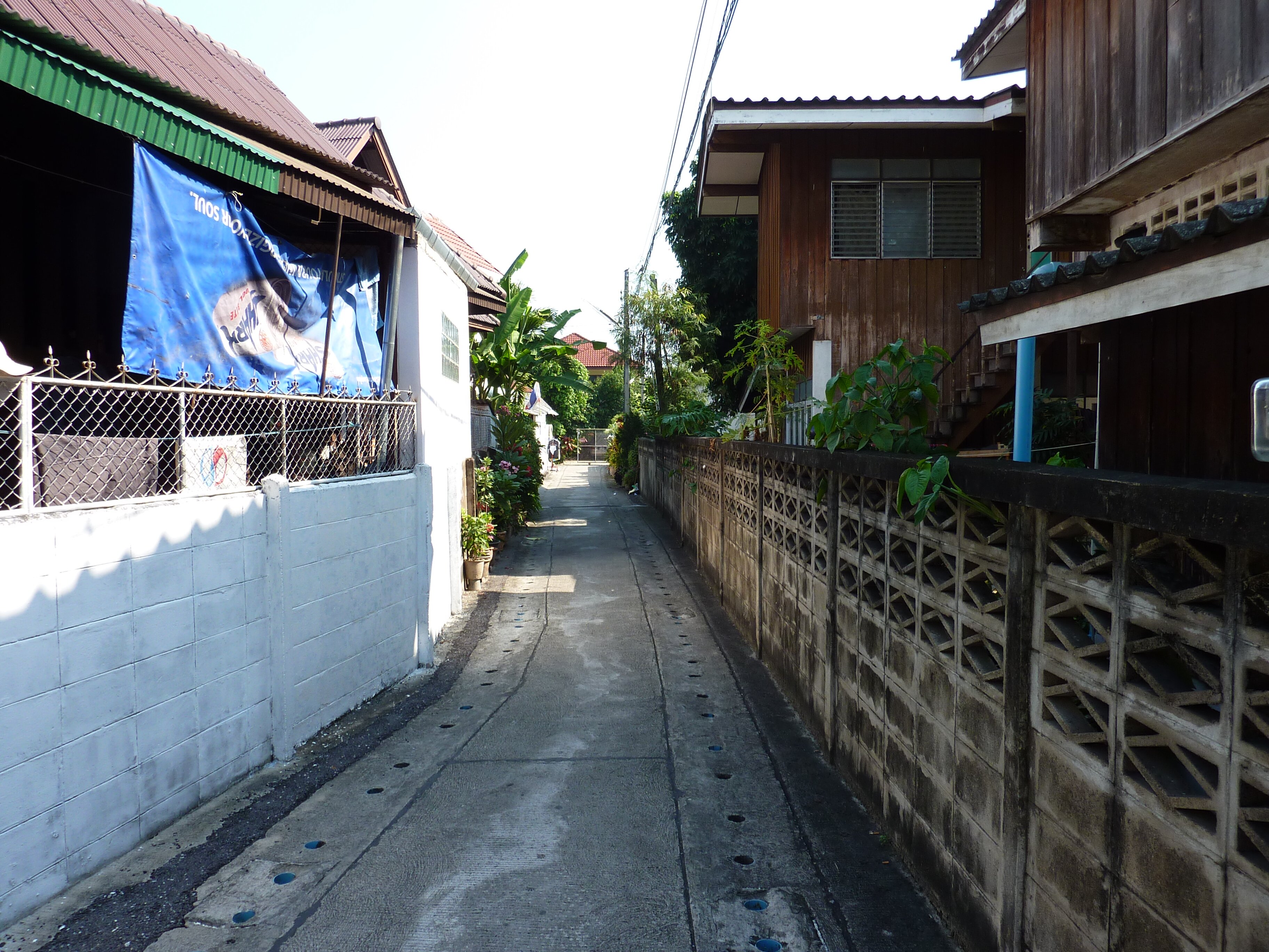 照片 泰国(Thailand) 清迈(Chiang Mai) 三兰路(Sam Lan Road) 2009-12 16