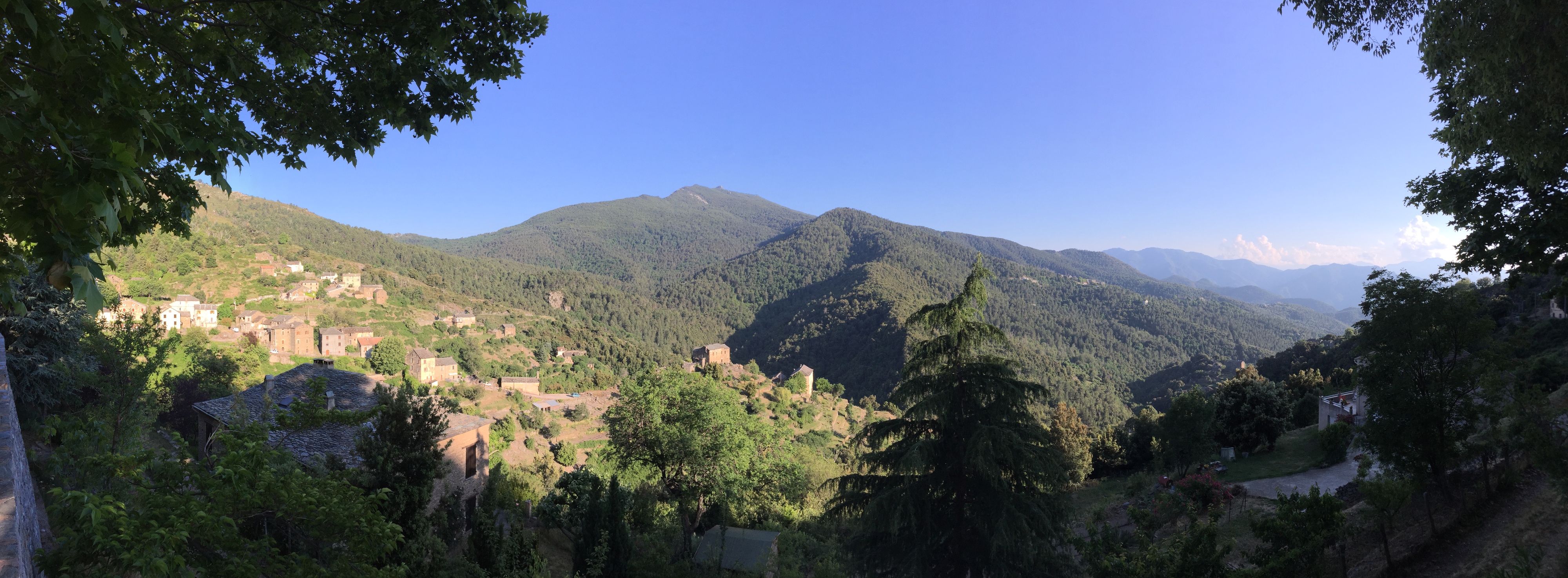 照片 法国(France) 科西嘉岛(Corsica) 卡斯塔尼恰(Castagniccia) 2015-05 5
