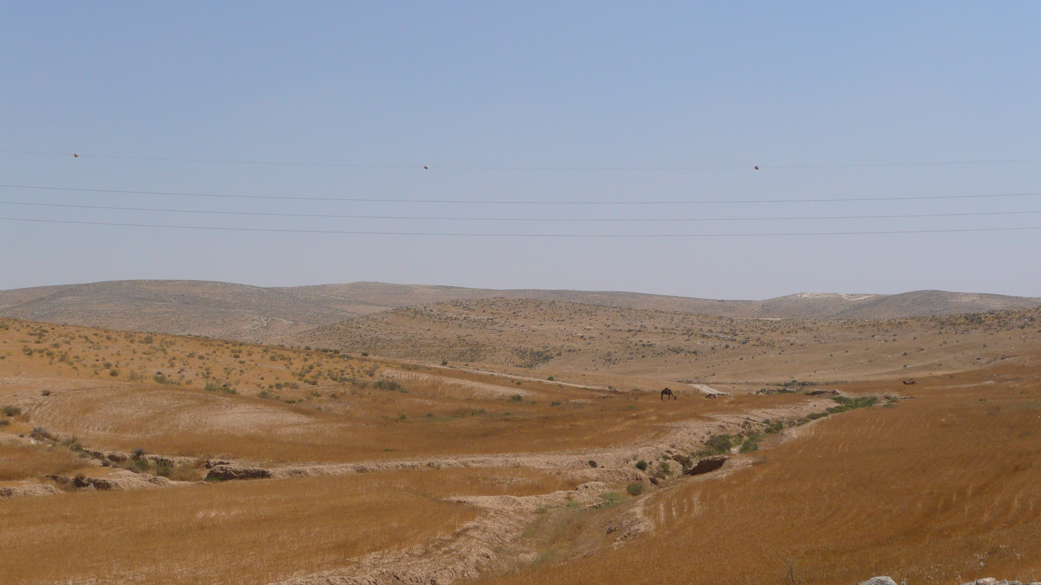 照片 以色列(Israel) 阿什凯隆至阿拉德公路(Ashkelon to Arad road) 2007-06 140