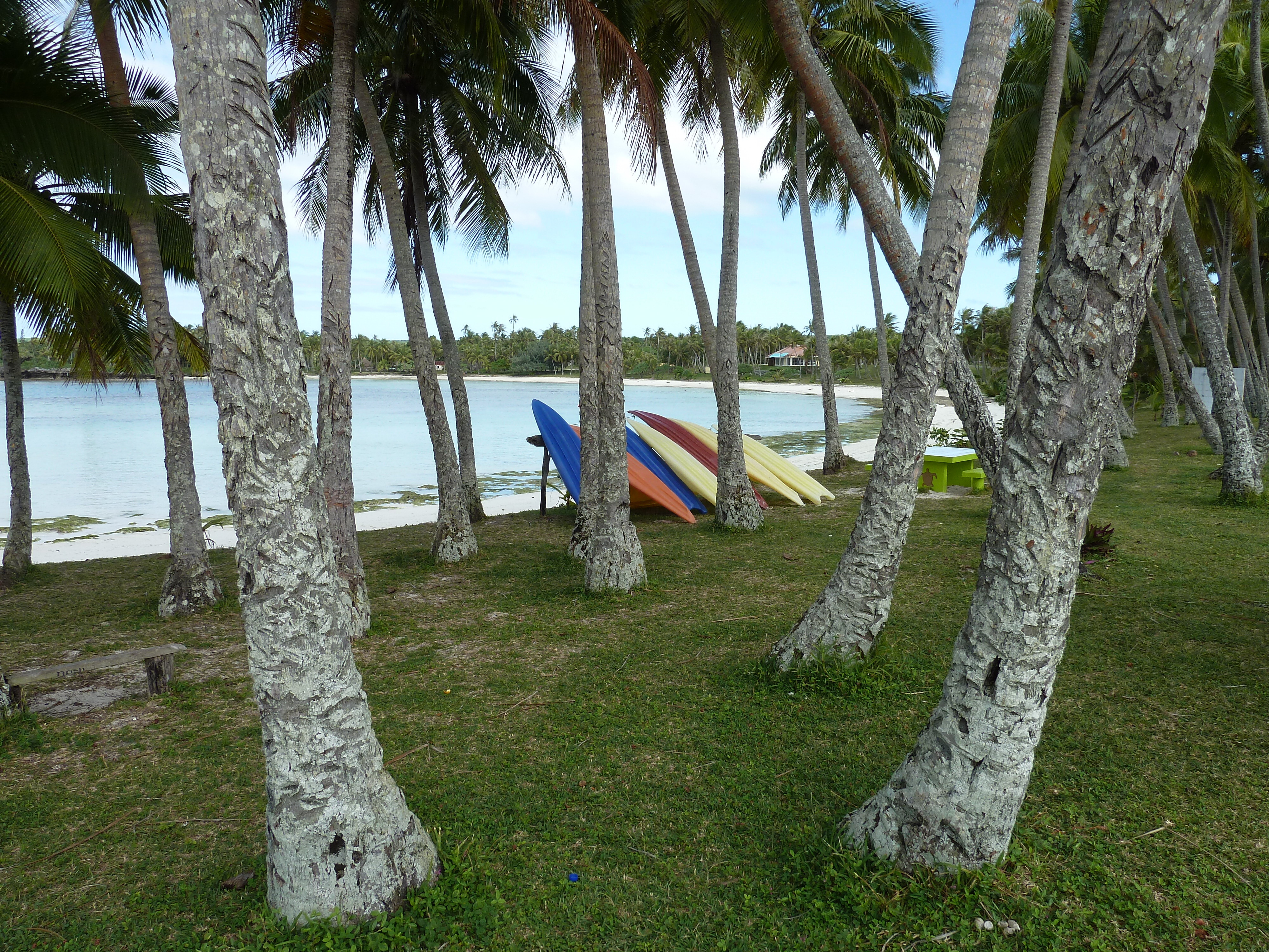 照片 新喀里多尼亚(New Caledonia) 利富岛(Lifou) 海龟湾(Baie des tortues) 2010-05 35