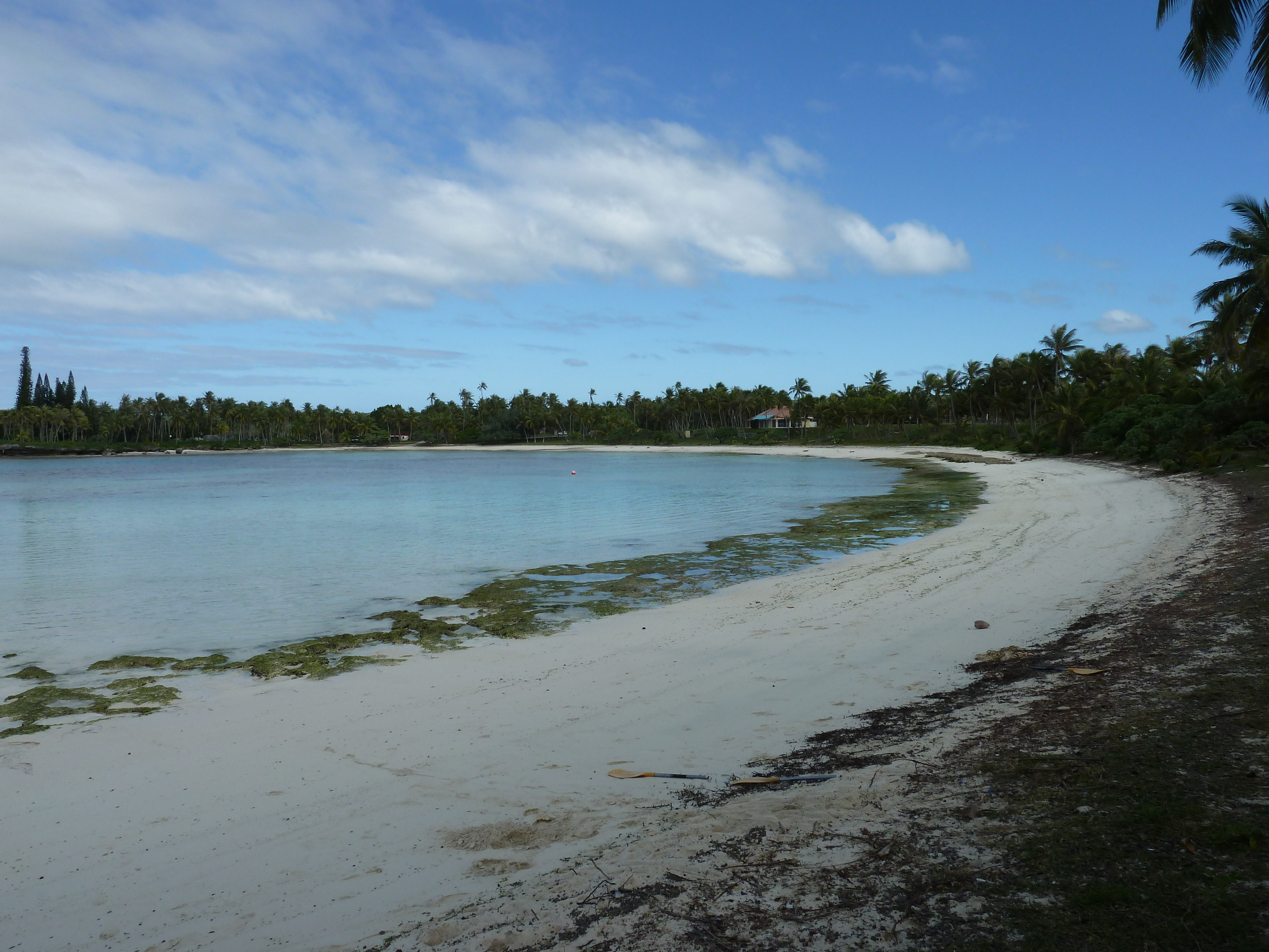 照片 新喀里多尼亚(New Caledonia) 利富岛(Lifou) 海龟湾(Baie des tortues) 2010-05 29