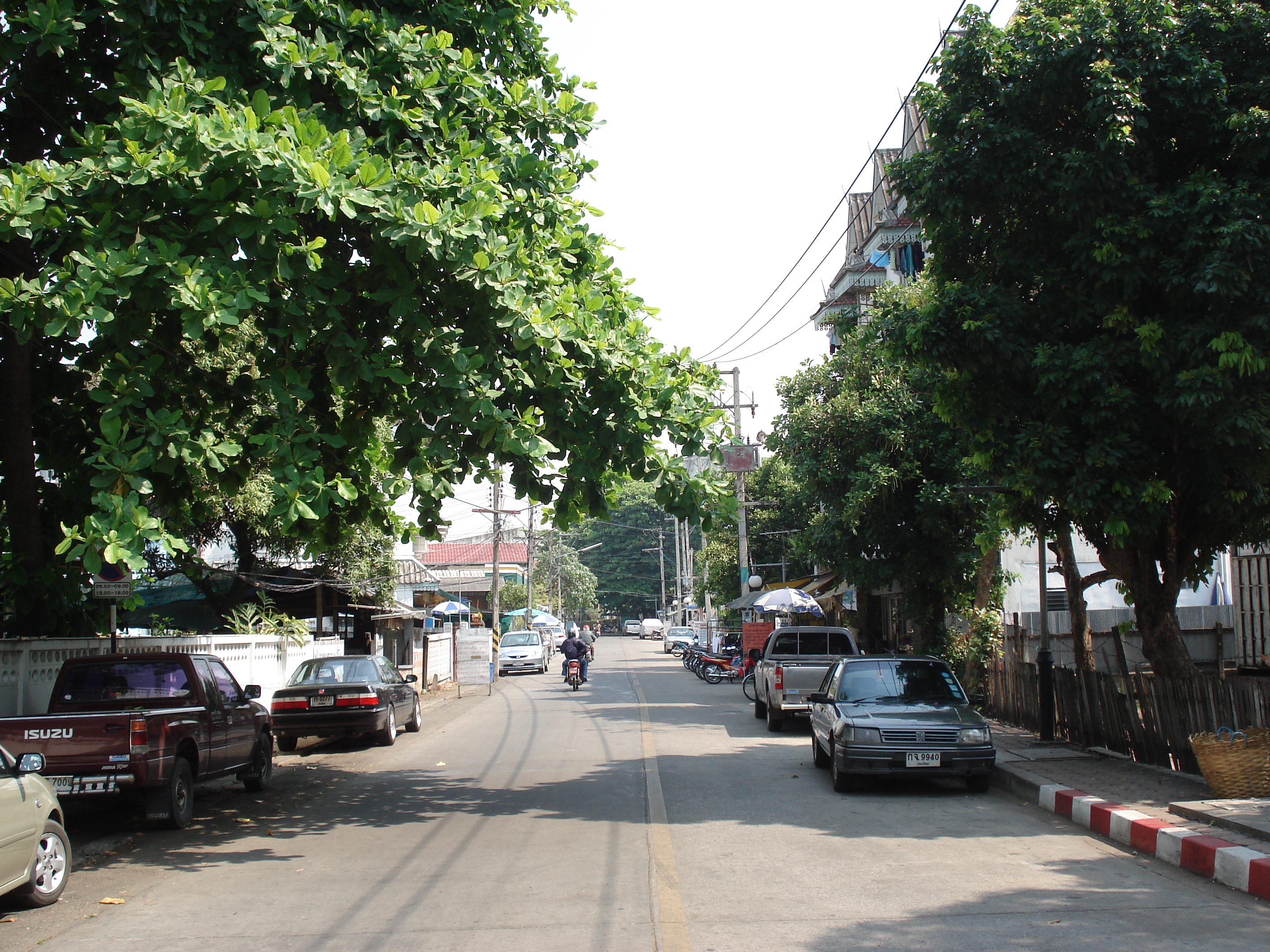 照片 泰国(Thailand) 清迈(Chiang Mai) 护城河内(Inside Canal) 2006-04 28