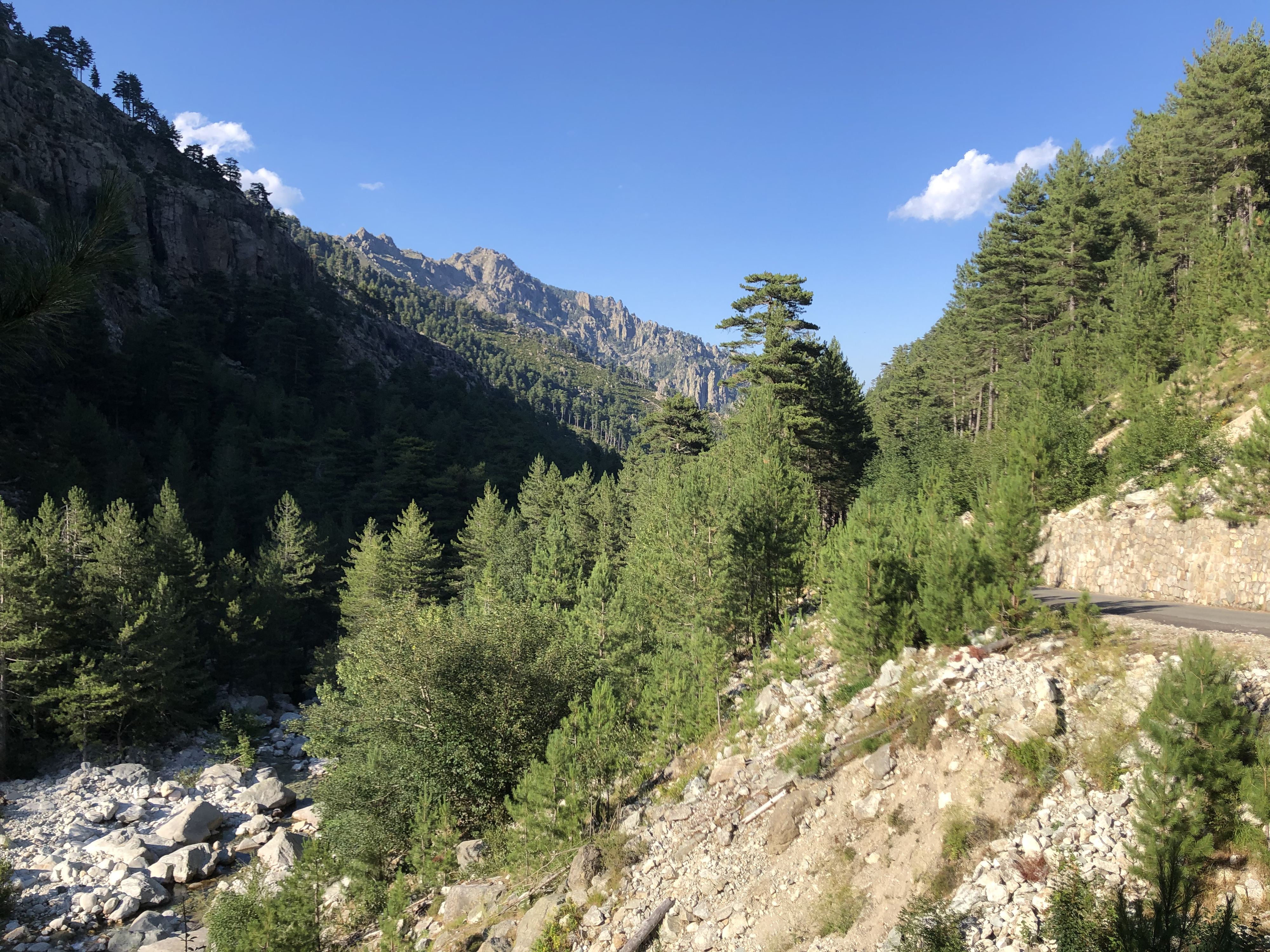 照片 法国(France) 科西嘉岛(Corsica) 雷斯托尼卡山谷(La Restonica) 2020-07 17