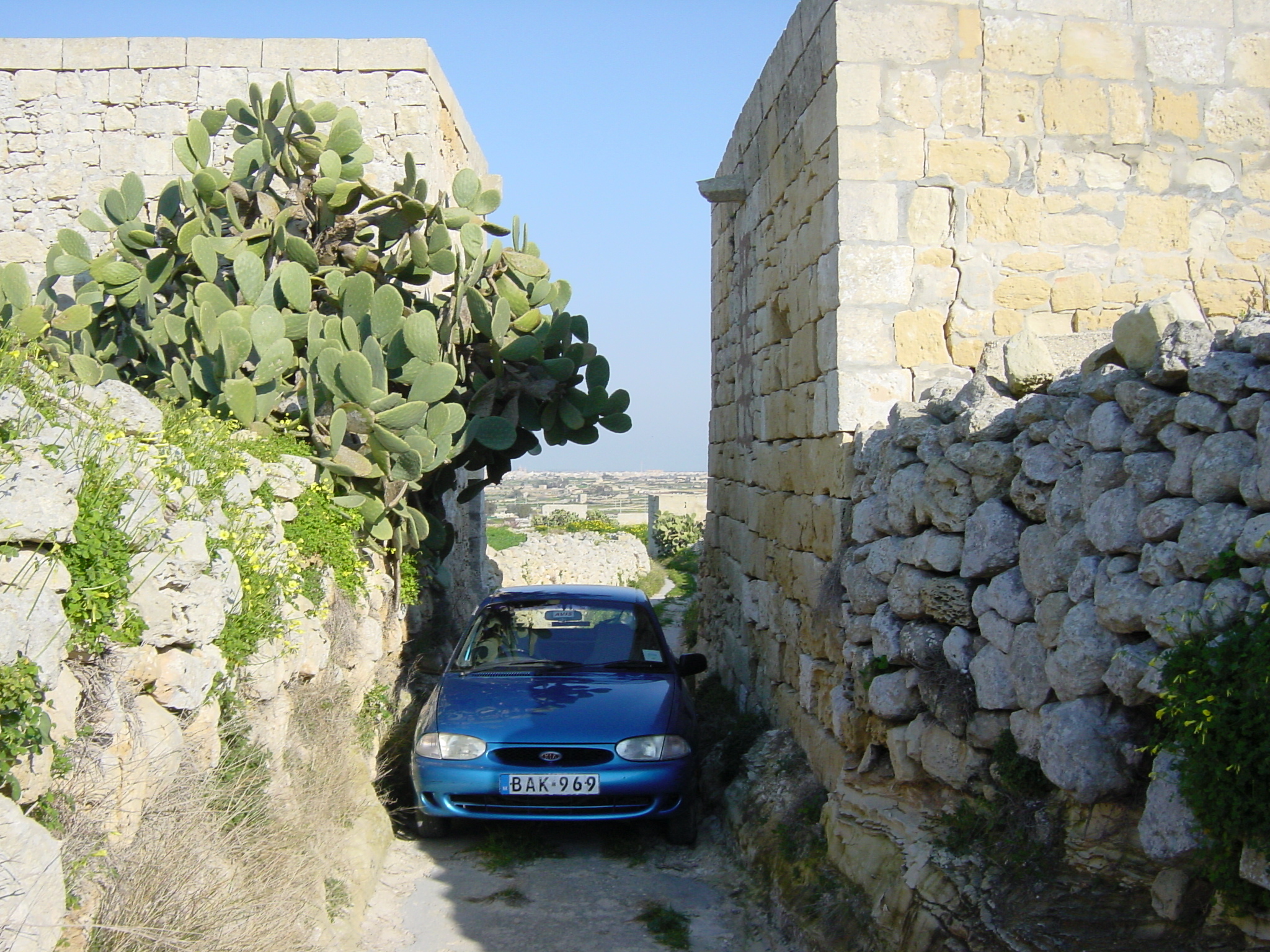 照片 马耳他(Malta) 姆迪纳周边(Around Mdina) 2003-03 5