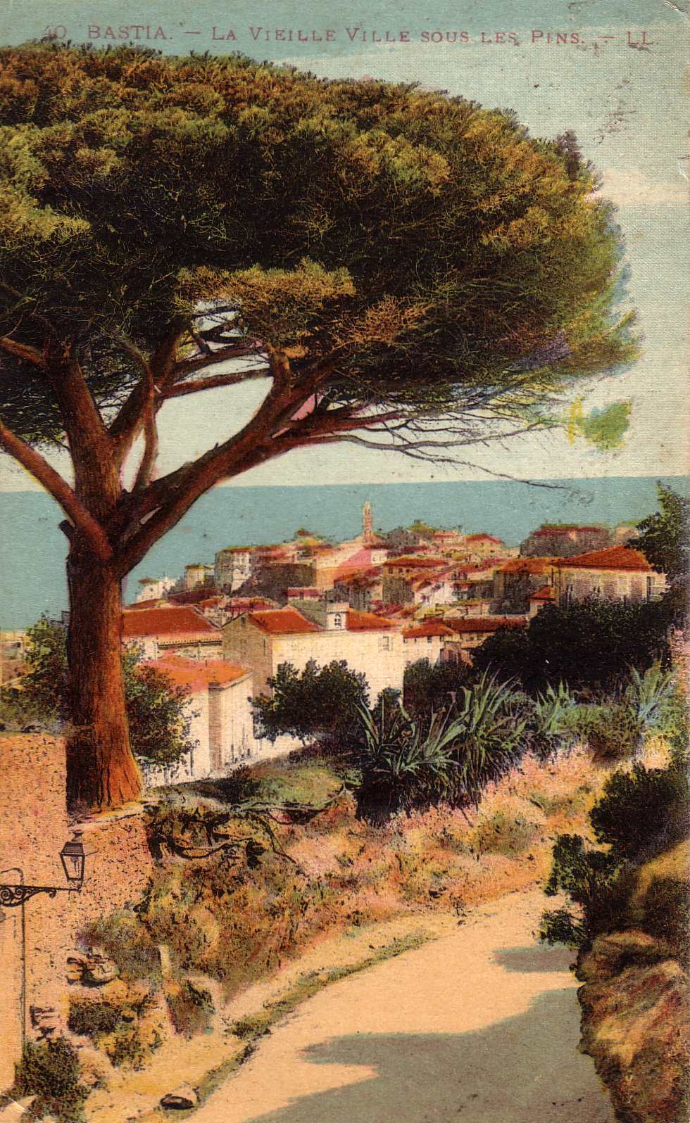 照片 法国(France) 科西嘉岛(Corsica) 老明信片(Old Postcards) 巴斯蒂亚(Bastia) 1900-01 63