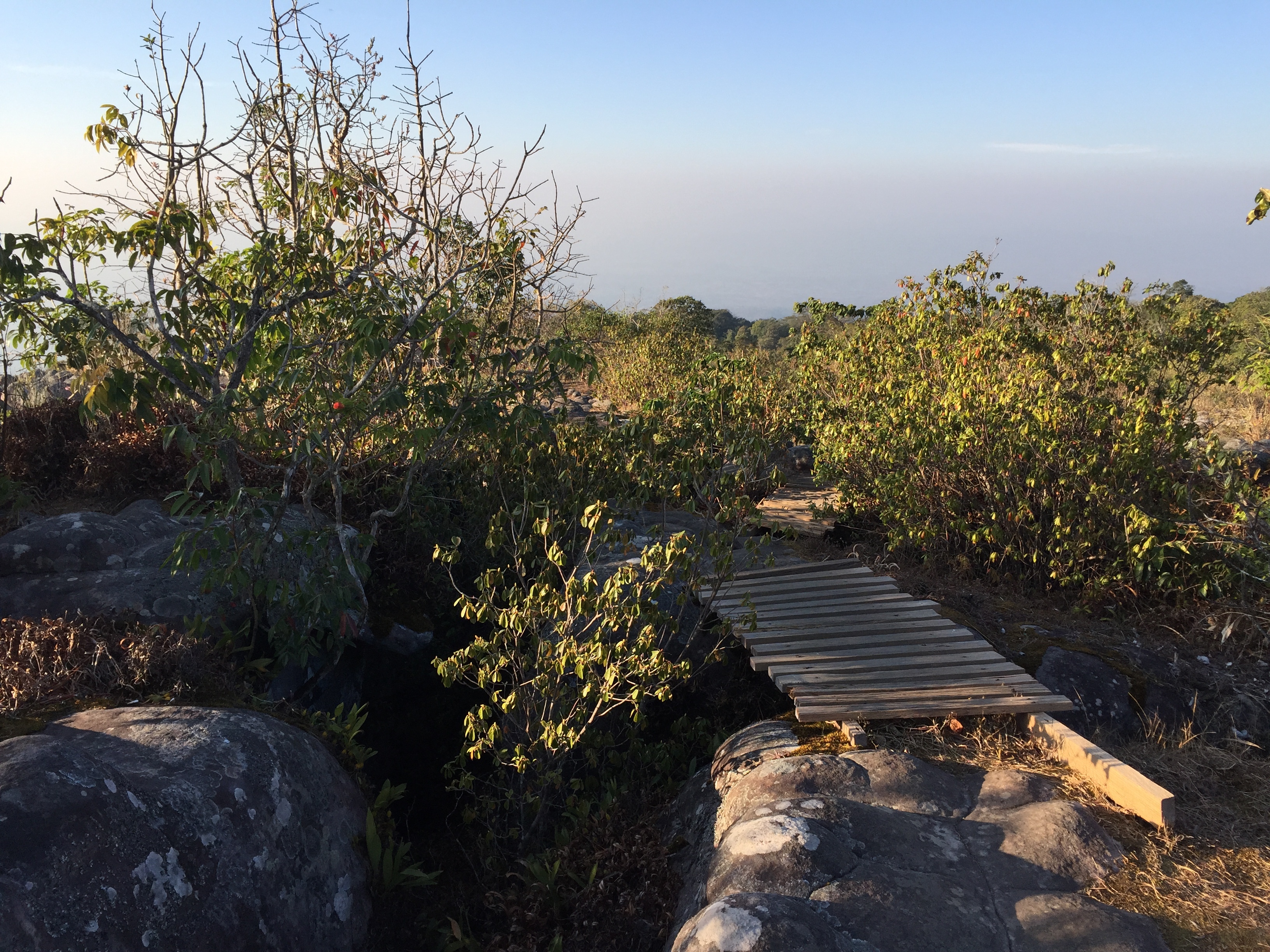 照片 泰国(Thailand) 普欣隆卡国家公园(Phu Hin Rong Kla National Park) 2014-12 83