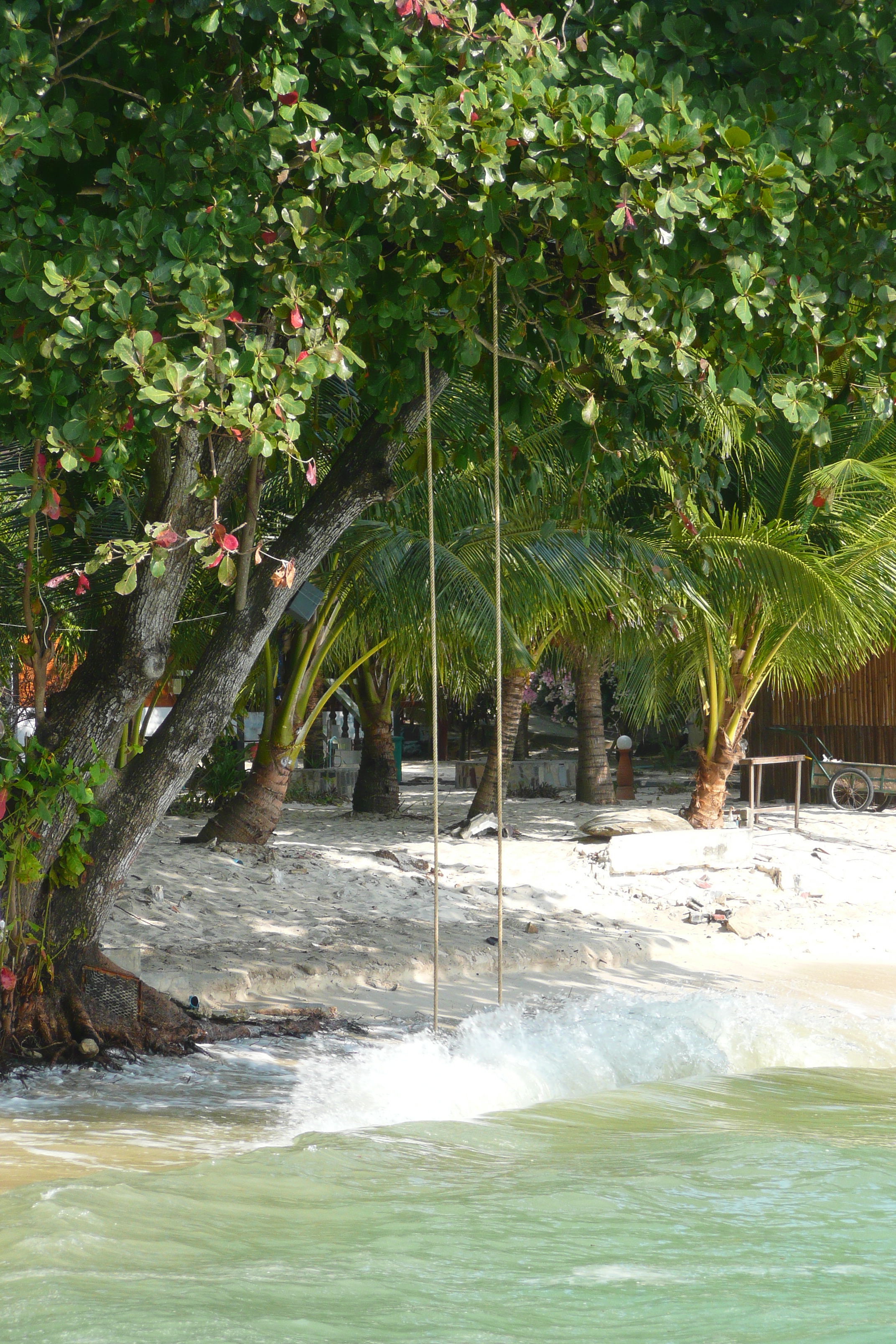 照片 泰国(Thailand) 沙美岛(Ko Samet) 乔湾(Ao Cho) 2009-01 26