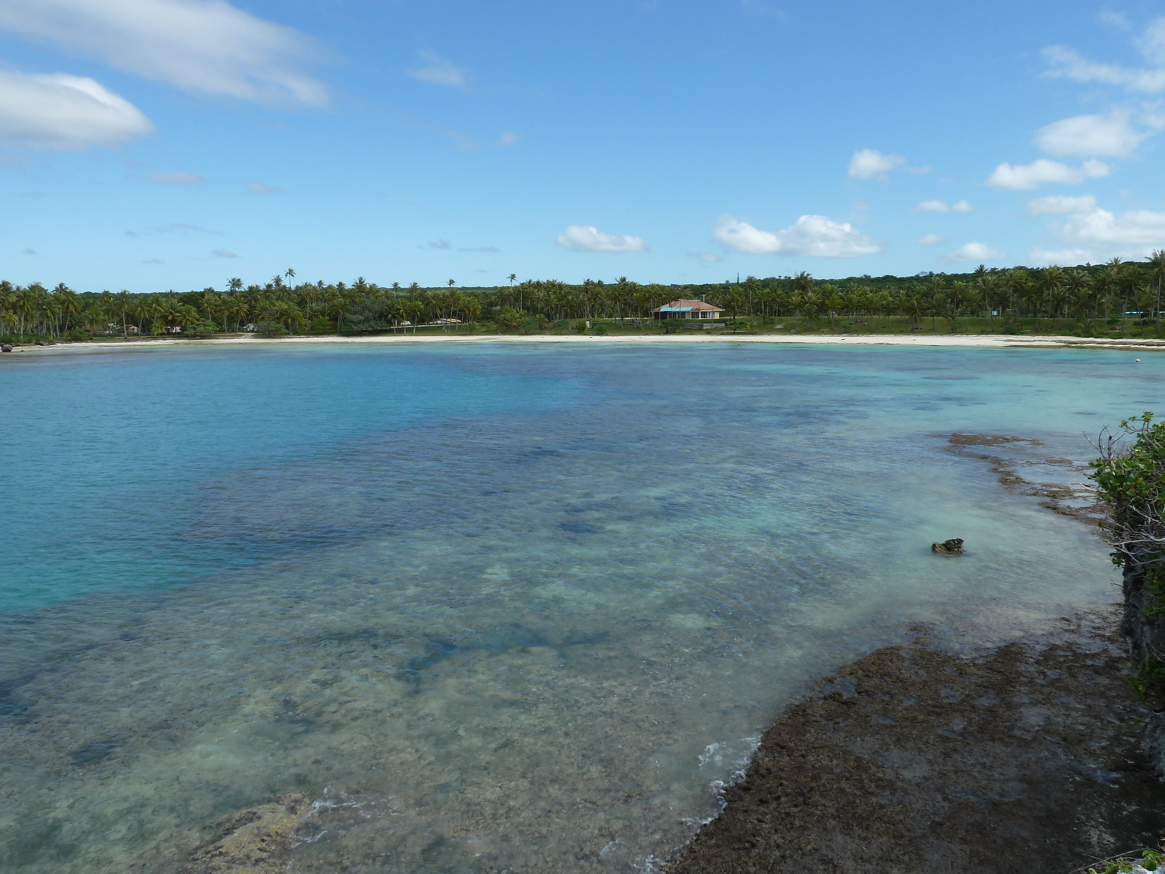 照片 新喀里多尼亚(New Caledonia) 利富岛(Lifou) 海龟湾(Baie des tortues) 2010-05 4