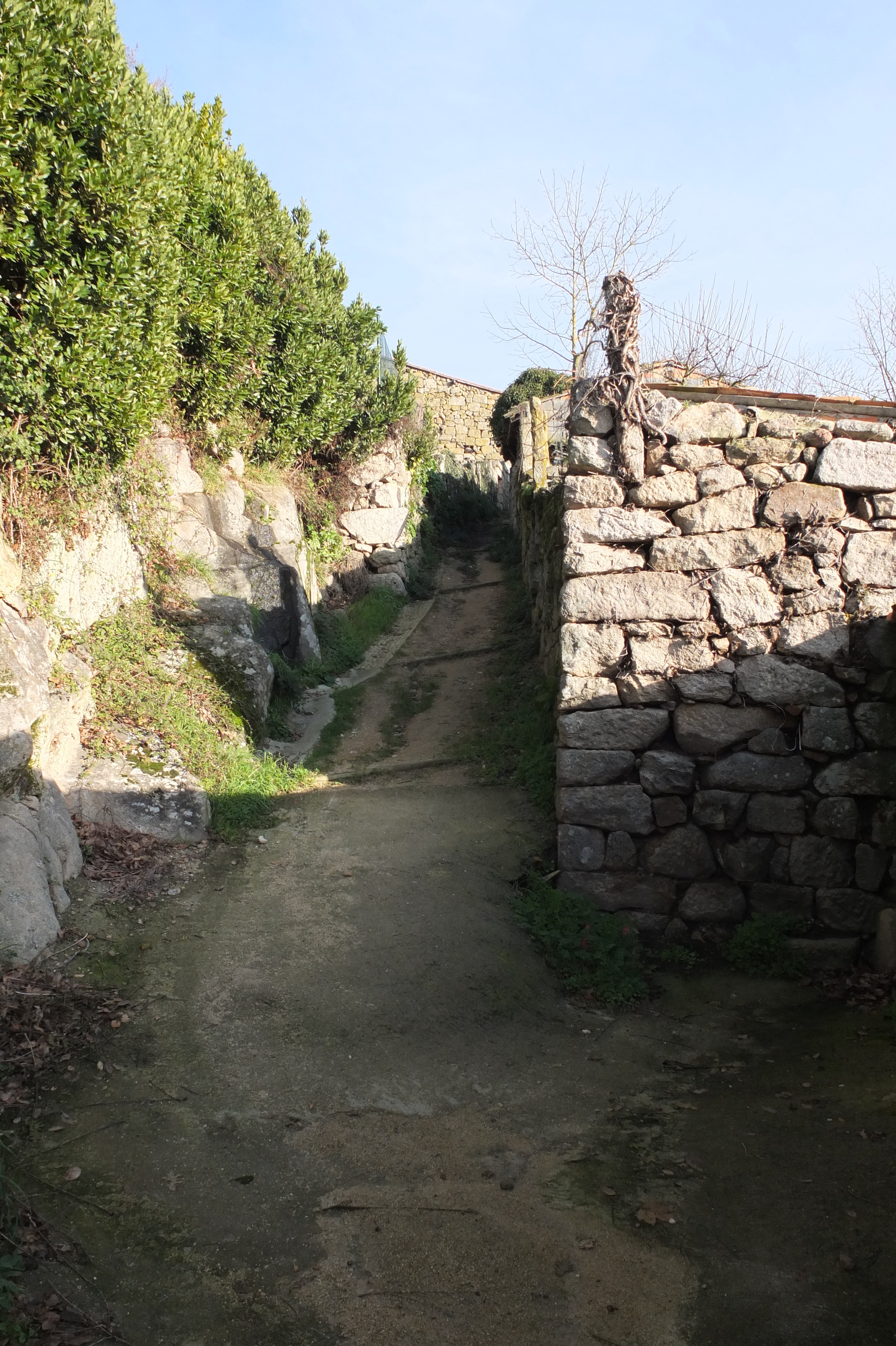 照片 西班牙(Spain) 阿利亚里斯(Allariz) 2013-01 56
