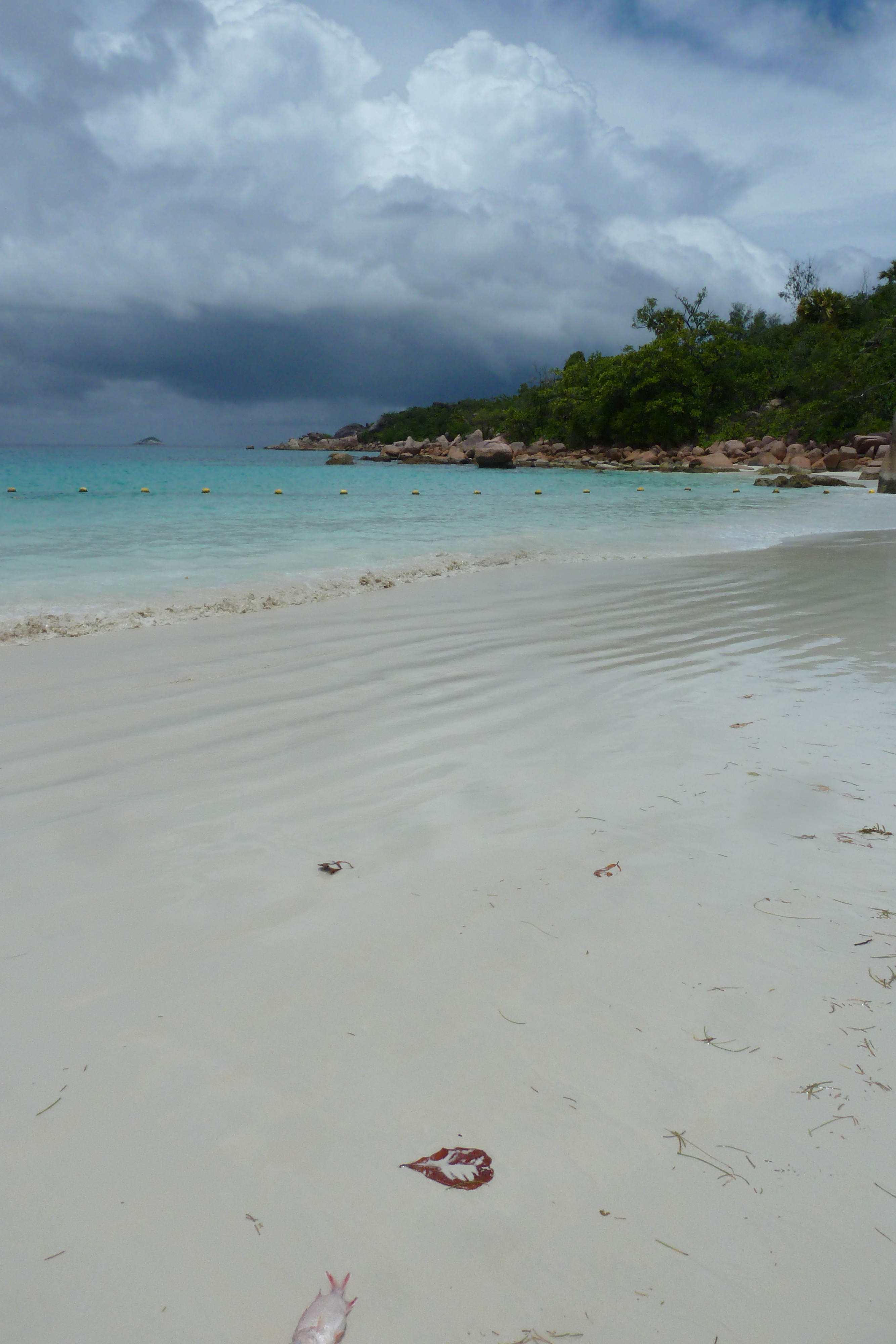 照片 塞舌尔(Seychelles) 拉齐奥湾(Anse Lazio) 2011-10 155