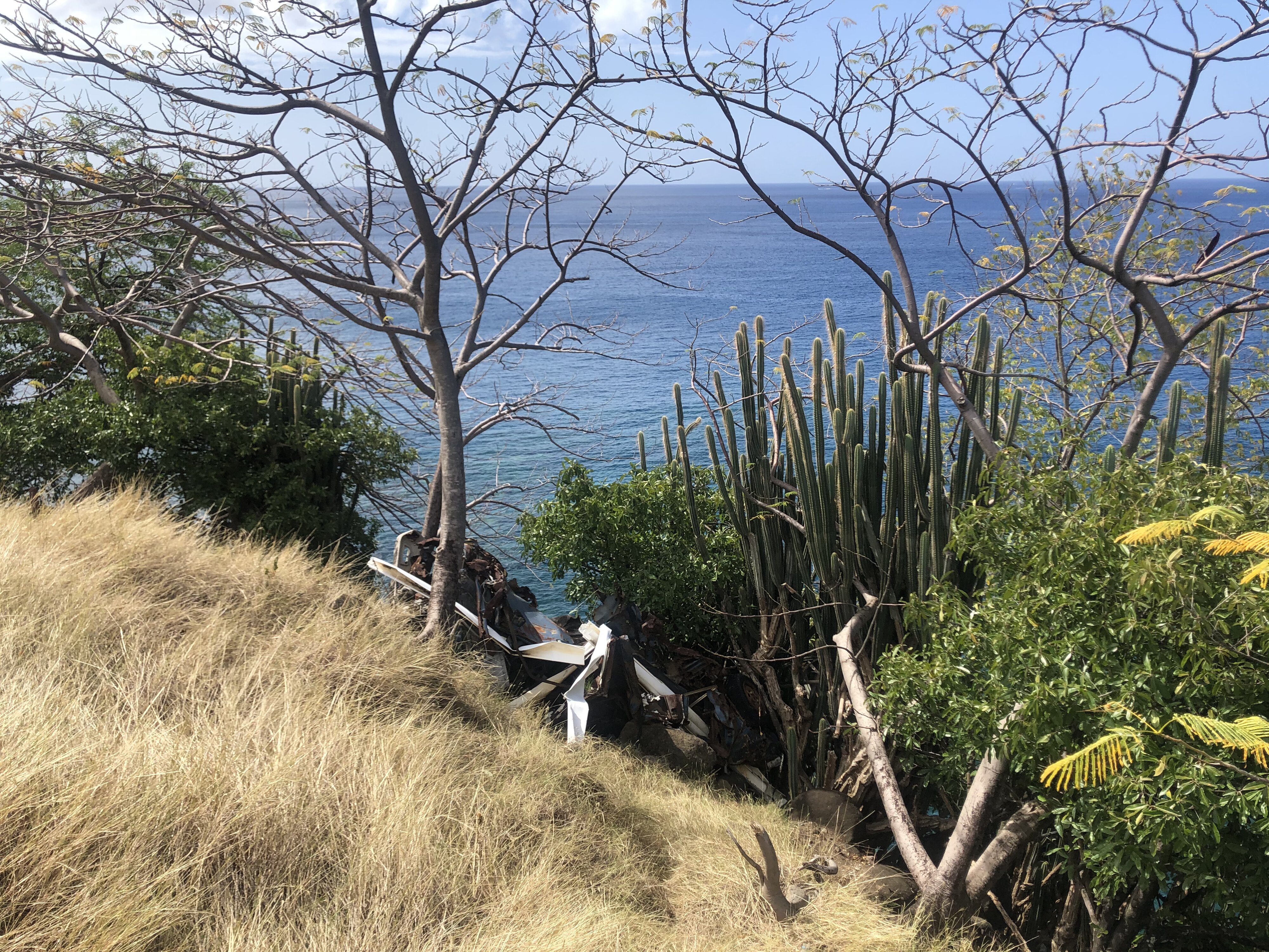 照片 瓜德罗普(Guadeloupe) 黑角(Black Point) 2021-02 2