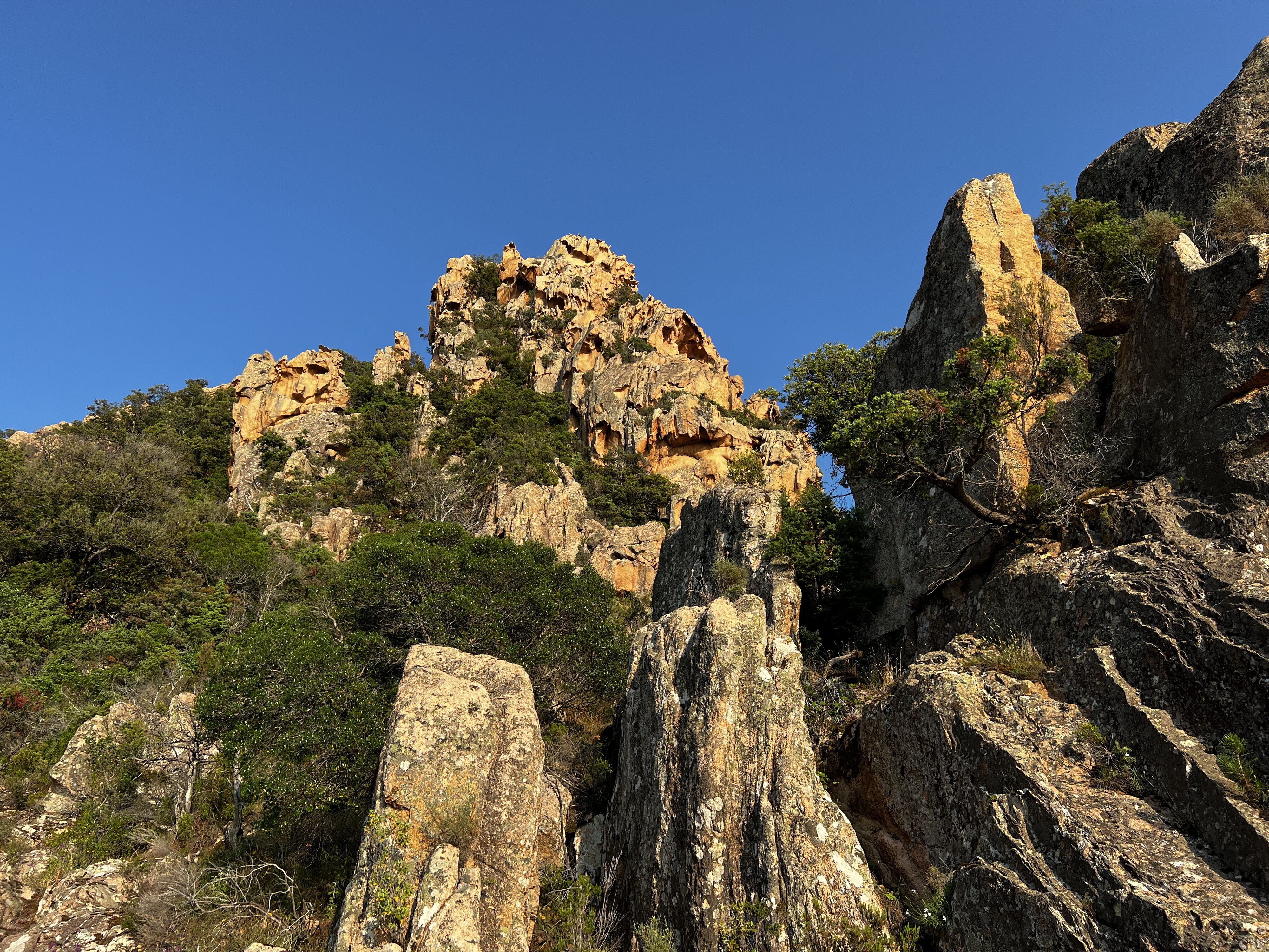 照片 法国(France) 科西嘉岛(Corsica) 皮亚纳峡湾(Calanques de Piana) 2023-06 27