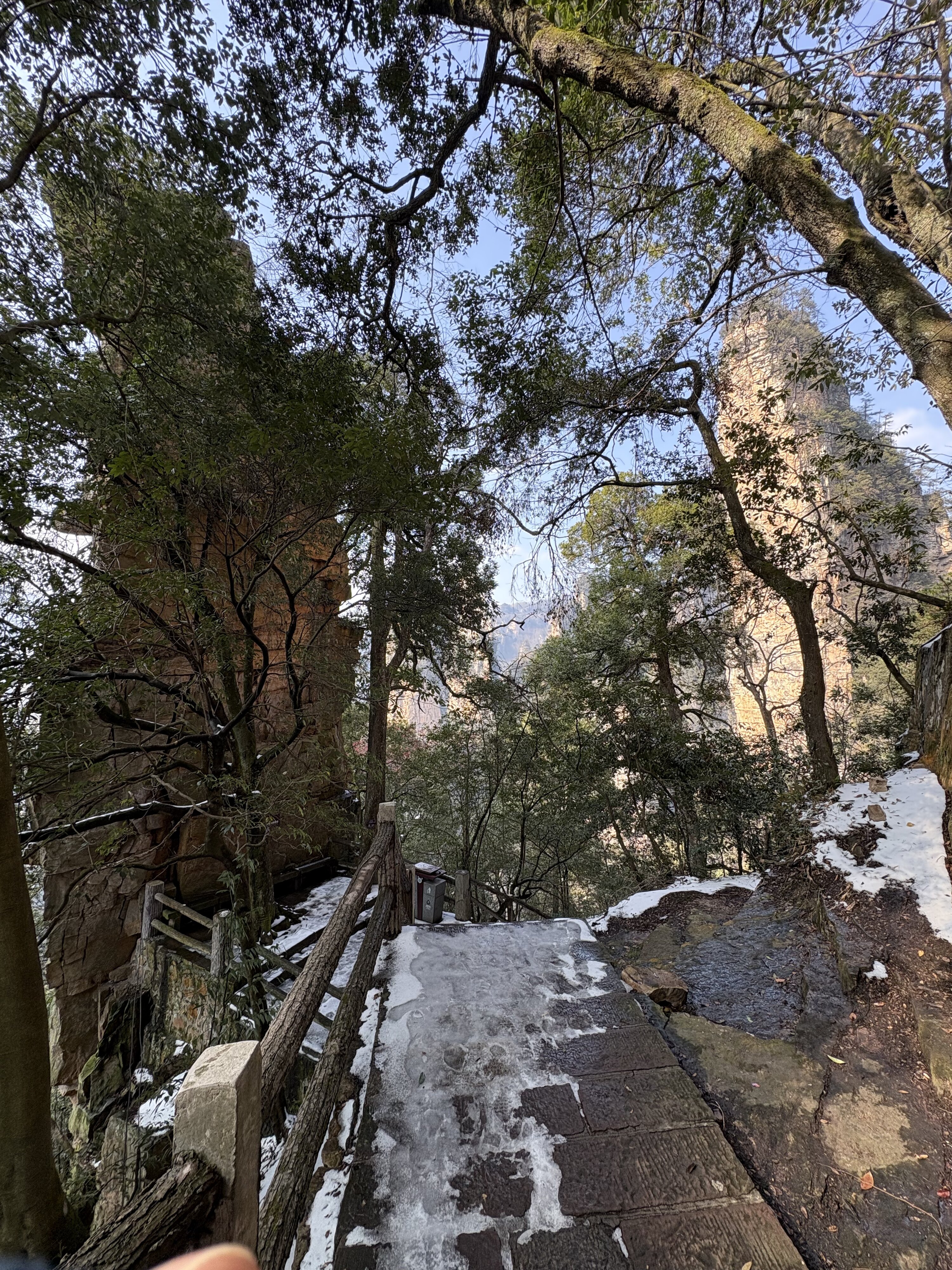 照片 中国(China) 张家界(Zhangjiajie) 天子山(Tianzi Mountain) 2026-01 282