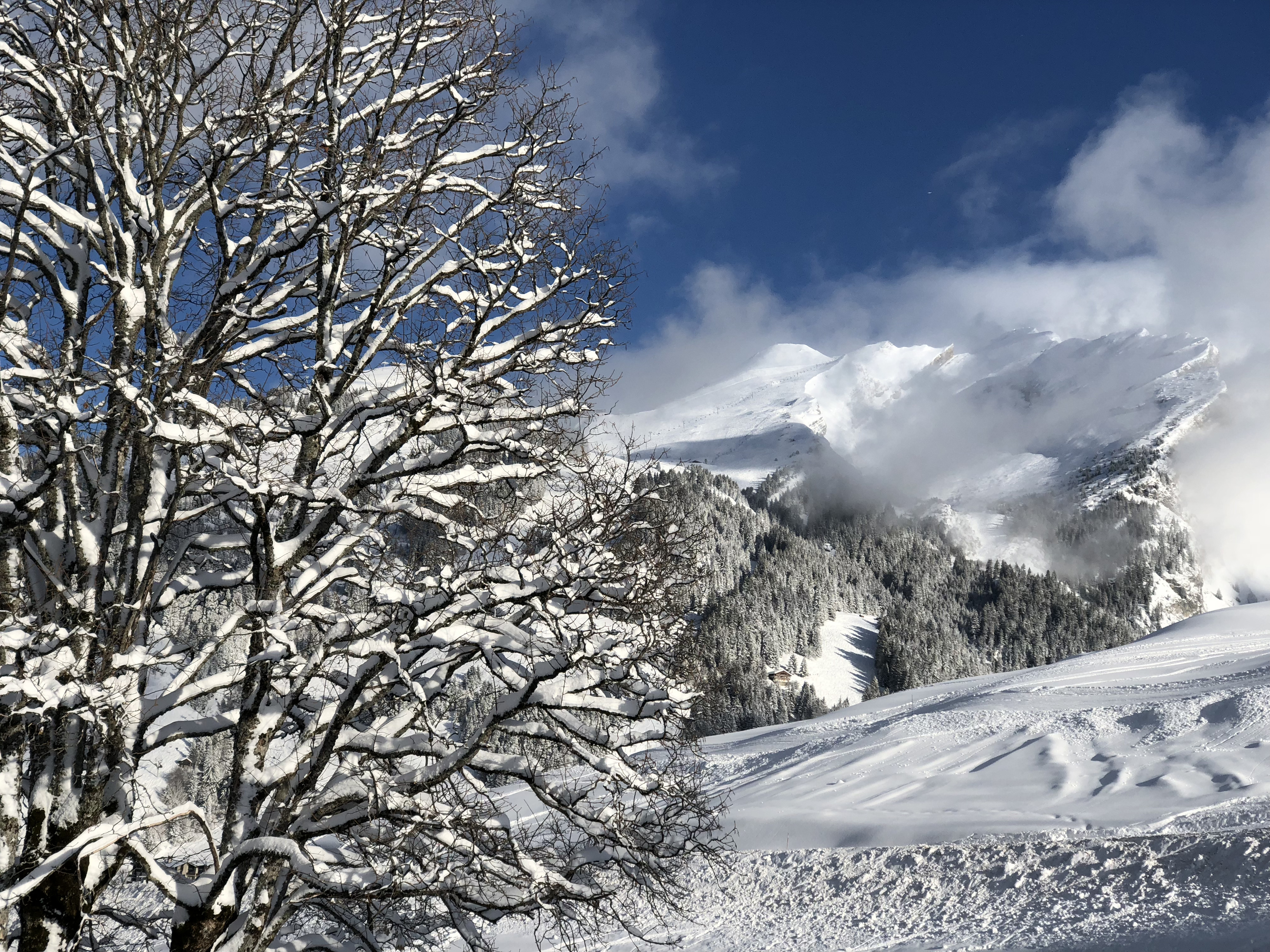 照片 法国(France) 拉克吕萨(La Clusaz) 2017-12 302