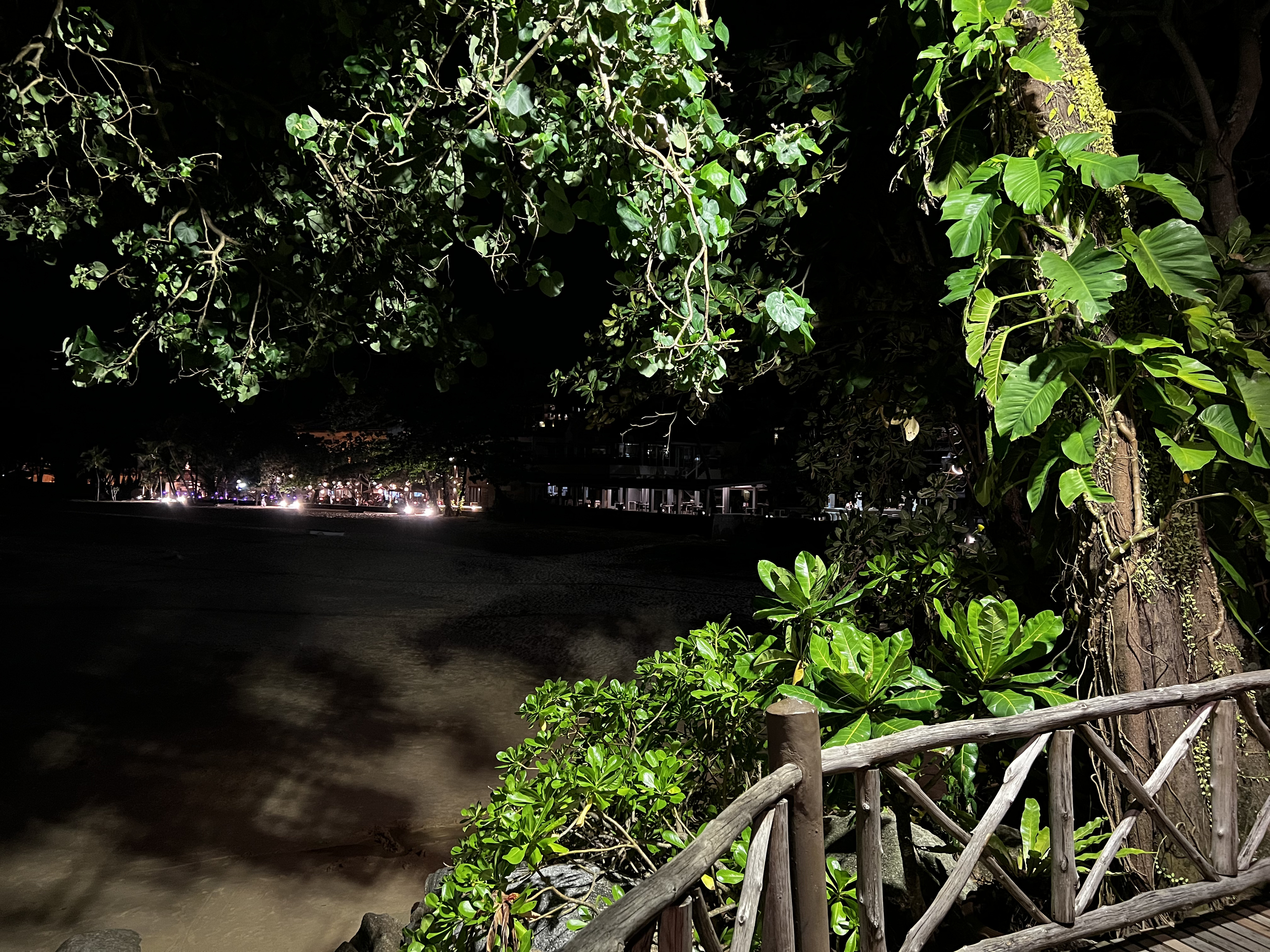 照片 泰国(Thailand) 普吉岛(Phuket) 卡伦海滩(Karon Beach) 岩石上餐厅(On the rock Restaurant) 2021-12 9