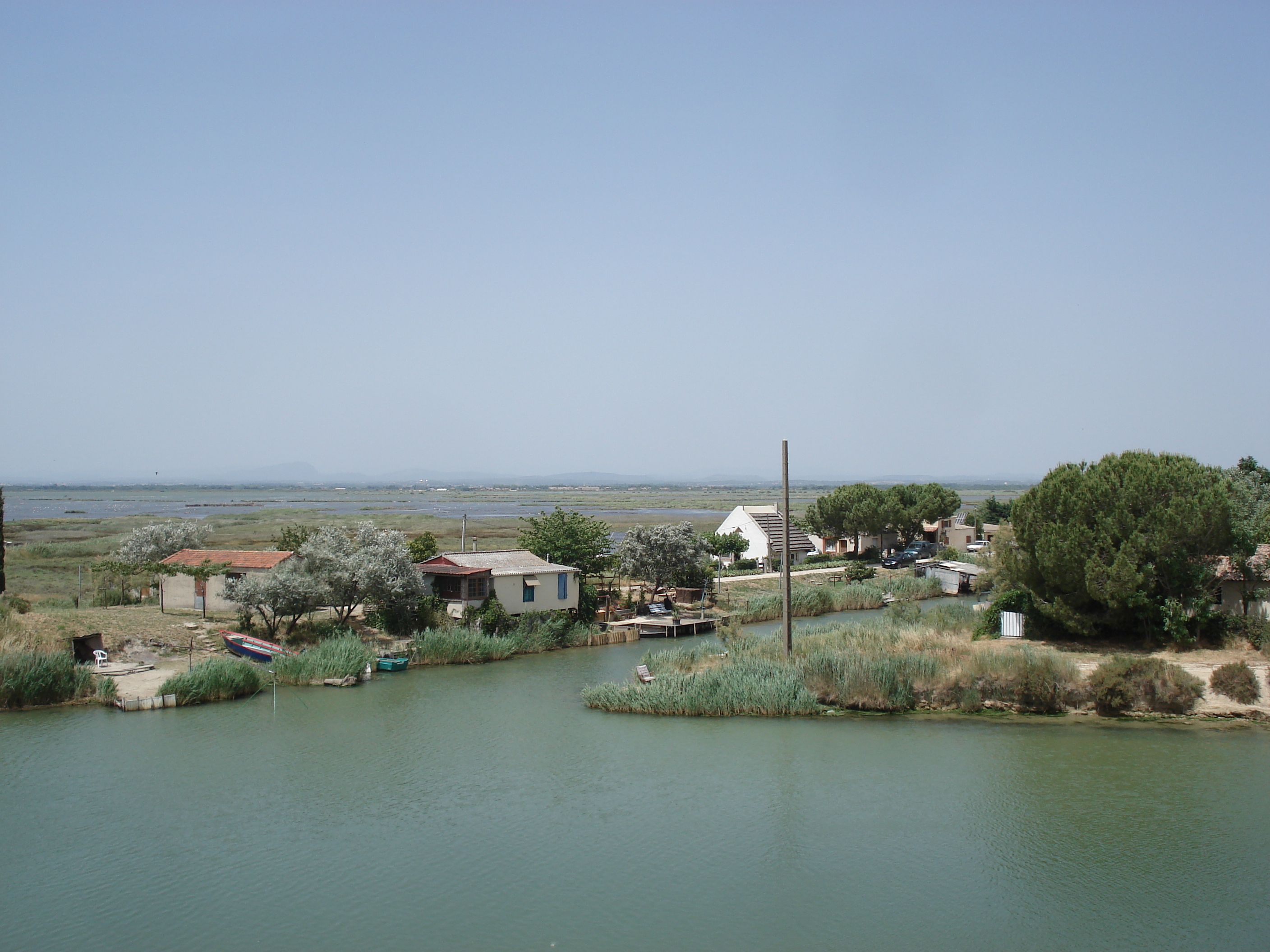 照片 法国(France) 卡马格(Camargue) 2006-06 12