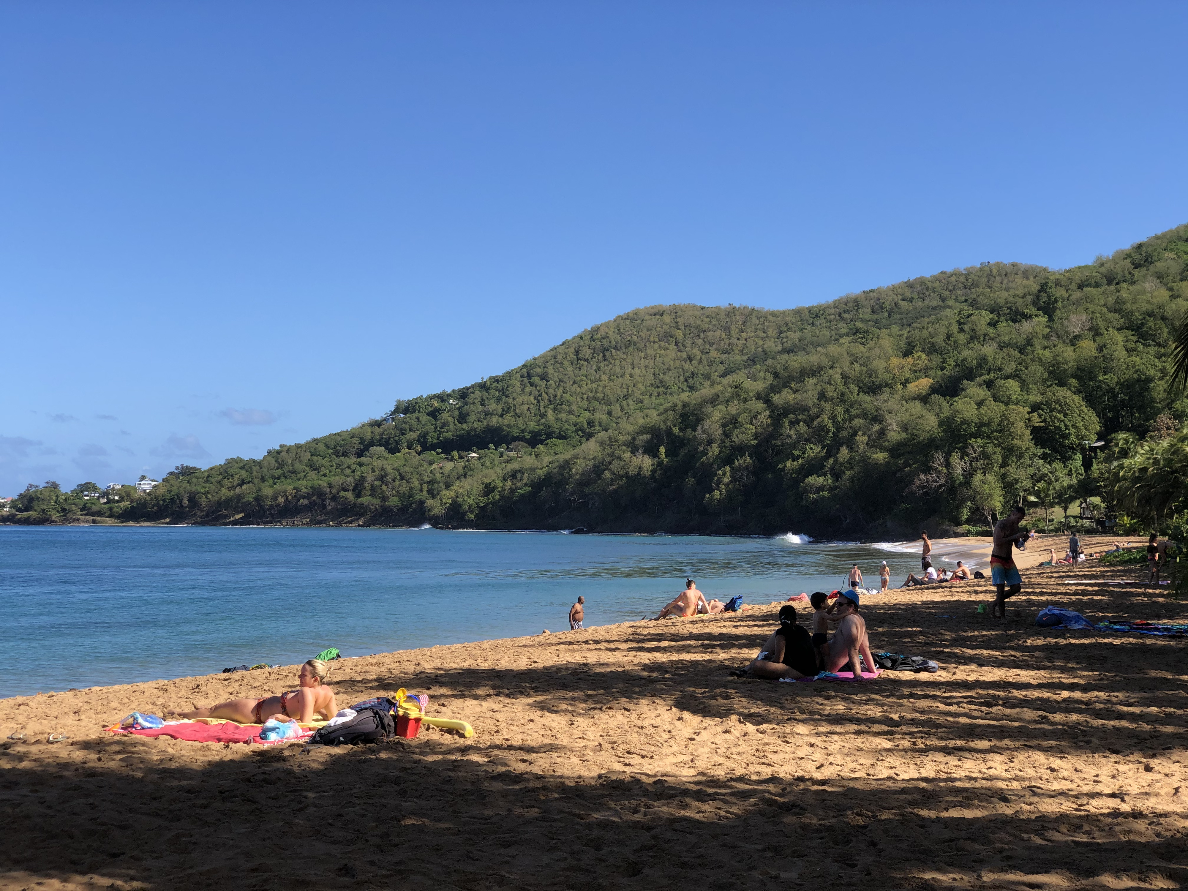 照片 瓜德罗普(Guadeloupe) 大湾海滩(Grande Hanse Beach) 2021-02 12