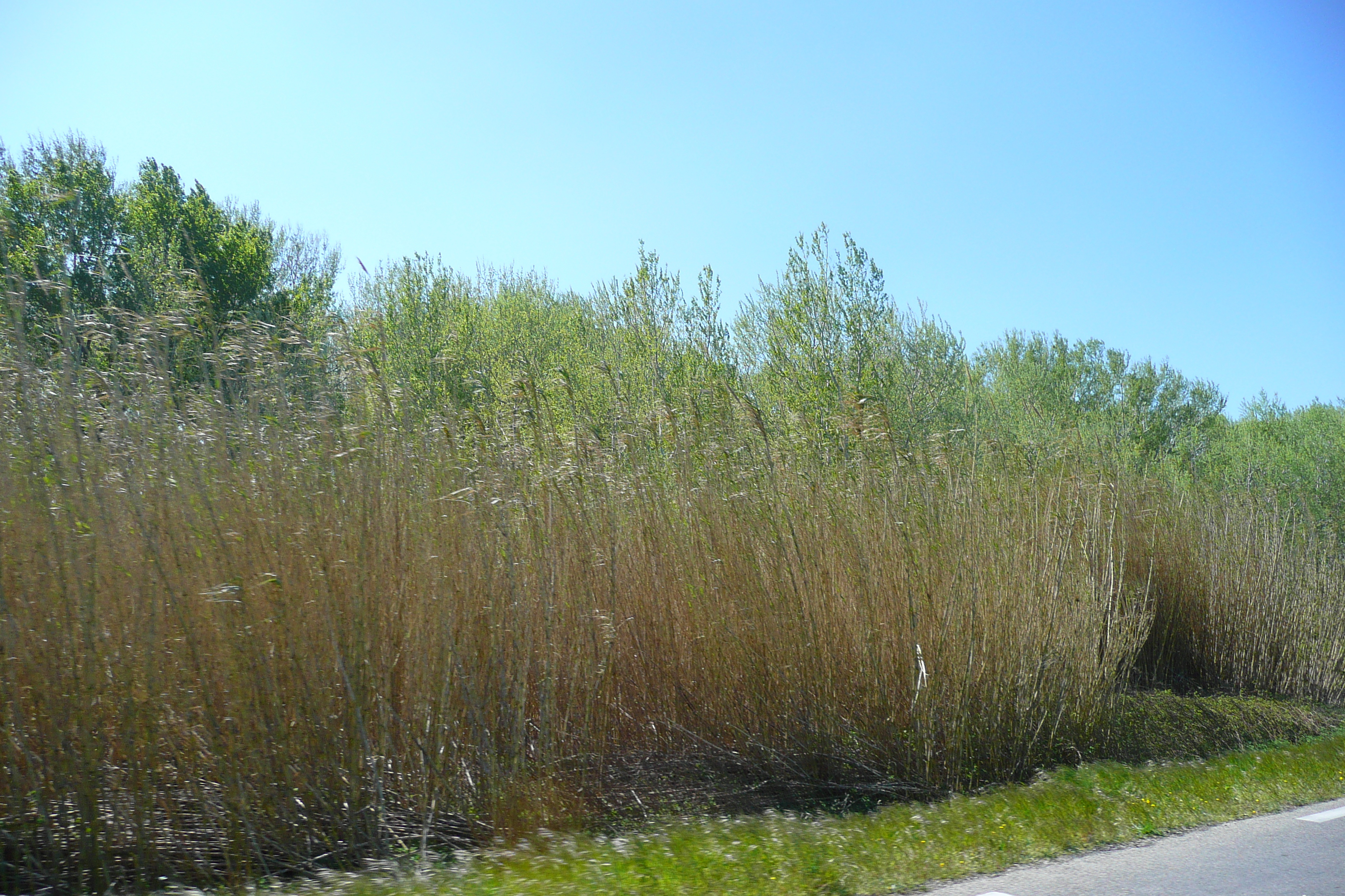 照片 法国(France) 普罗旺斯(Provence) 博凯尔至加尔桥公路(Beaucaire to pont du gard road) 2008-04 1