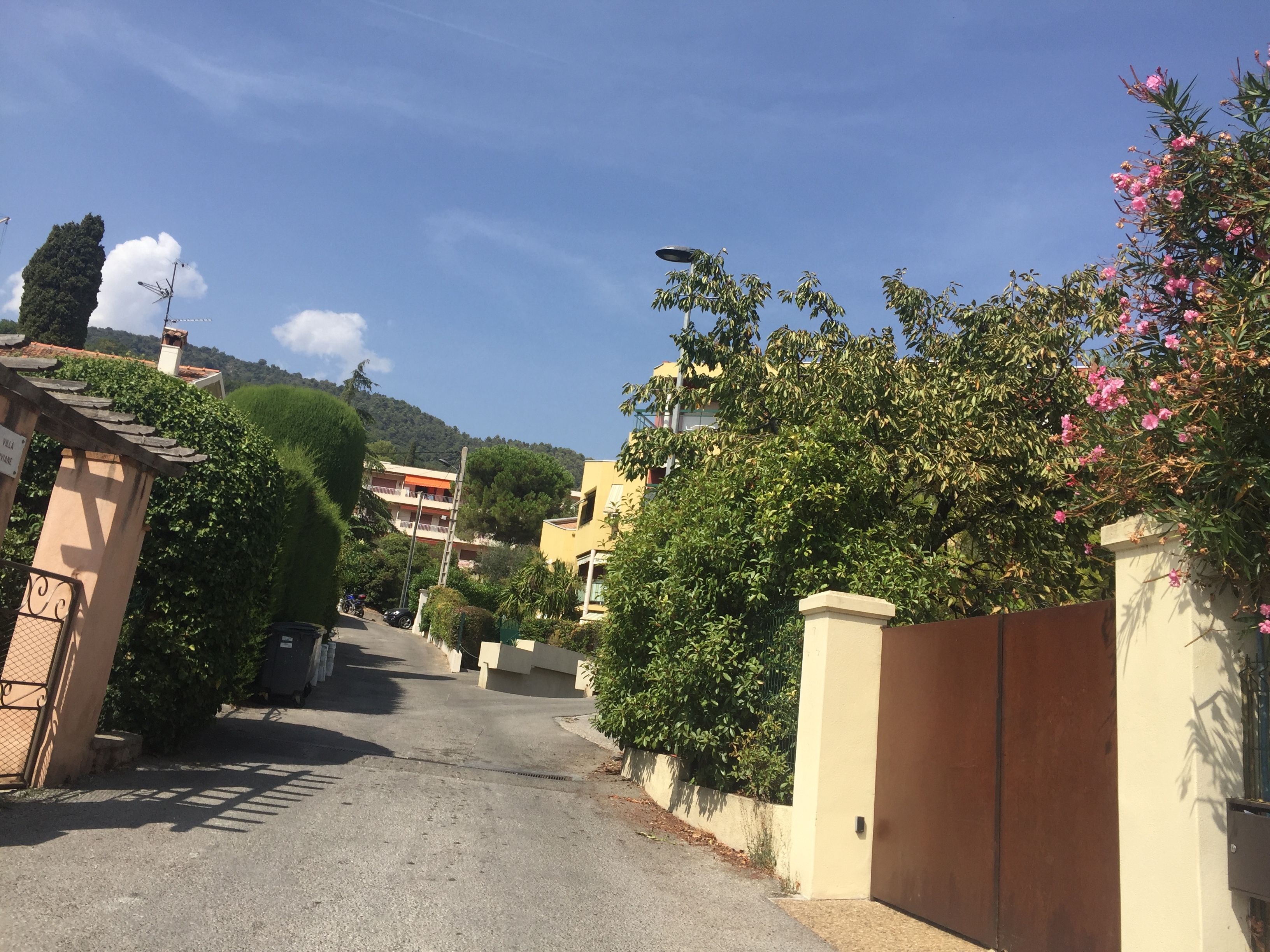照片 法国(France) 旺斯(Vence) 2017-08 30
