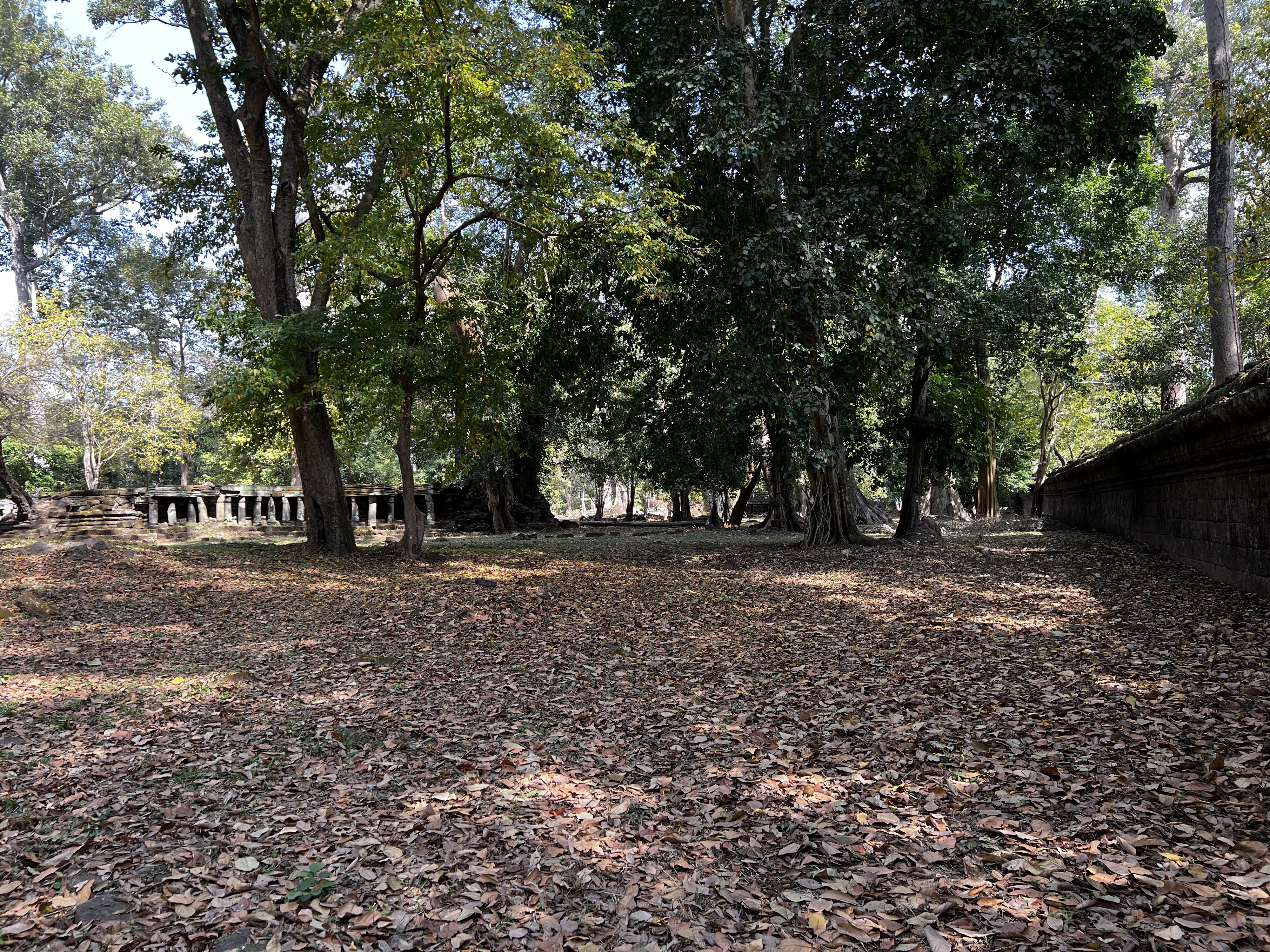 照片 柬埔寨(Cambodia) 暹粒(Siem Reap) 吴哥通王城(Angkor Thom) 2023-01 32