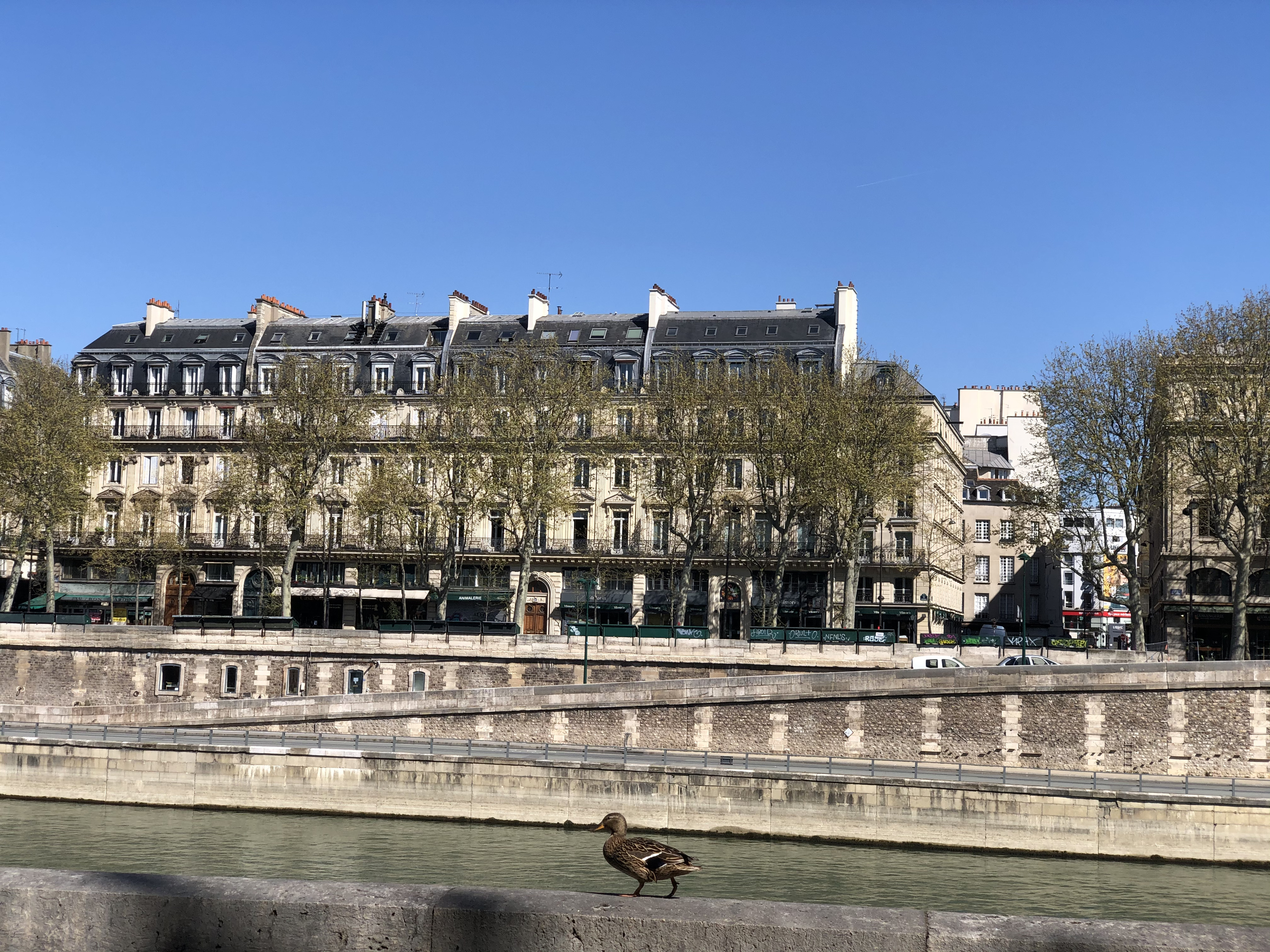 照片 法国(France) 封城中的巴黎(Paris lockdown) 2020-04 295