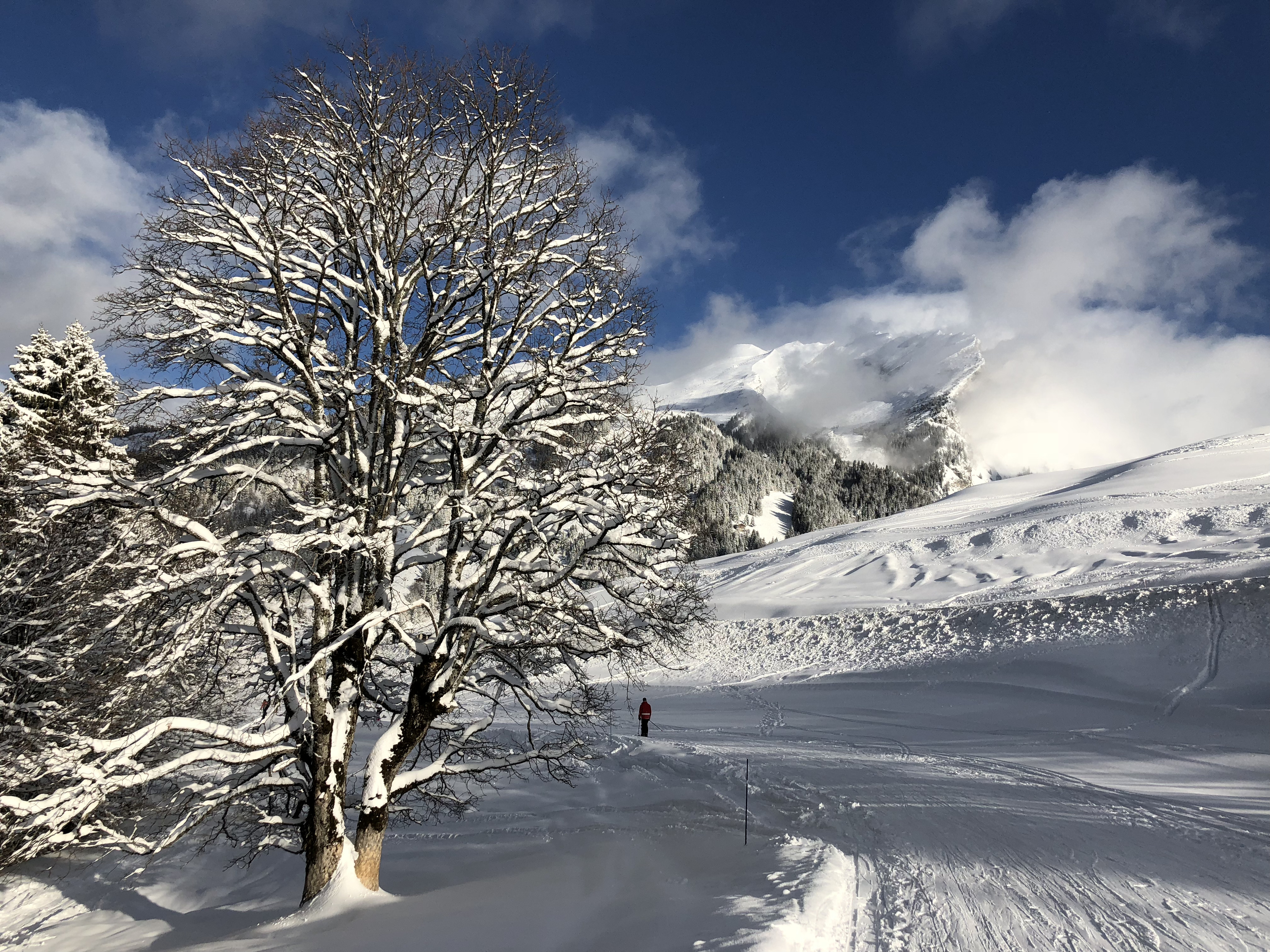 照片 法国(France) 拉克吕萨(La Clusaz) 2017-12 326