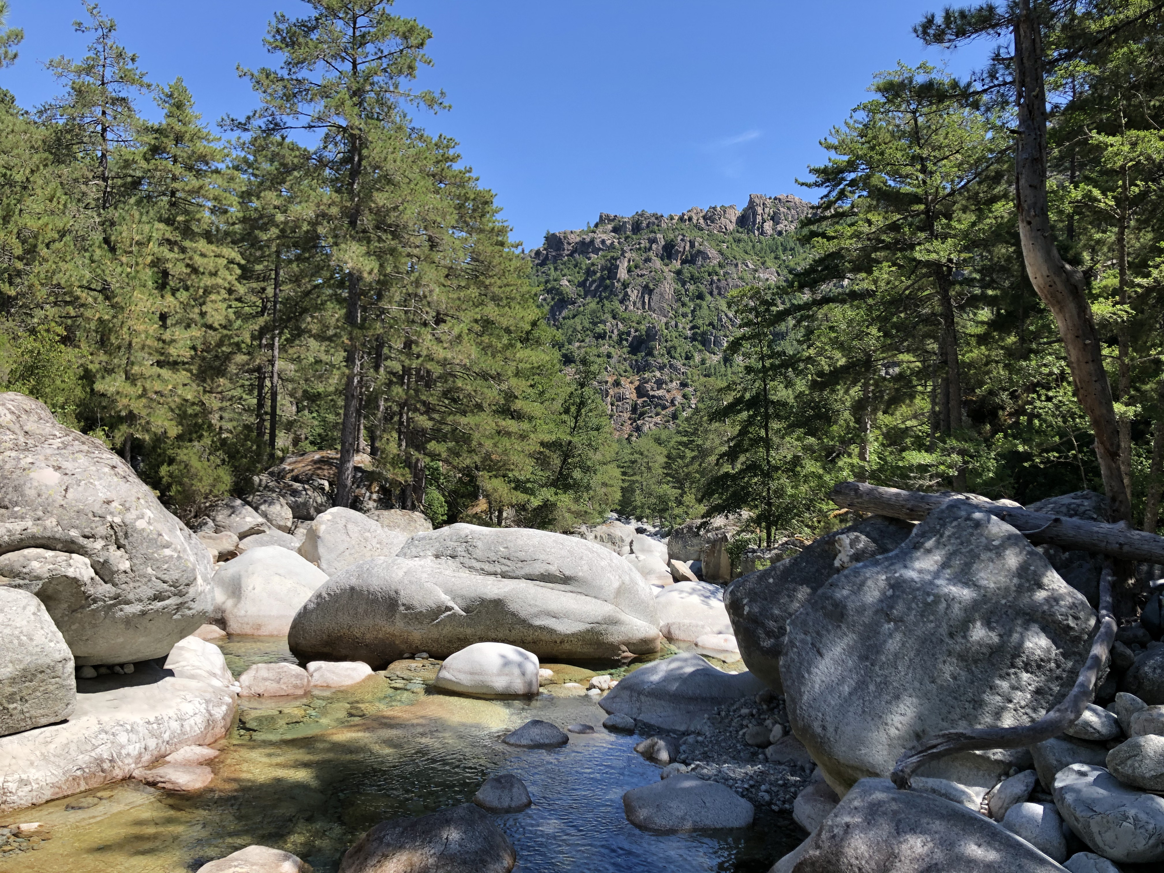照片 法国(France) 科西嘉岛(Corsica) 雷斯托尼卡山谷(La Restonica) 2020-07 90