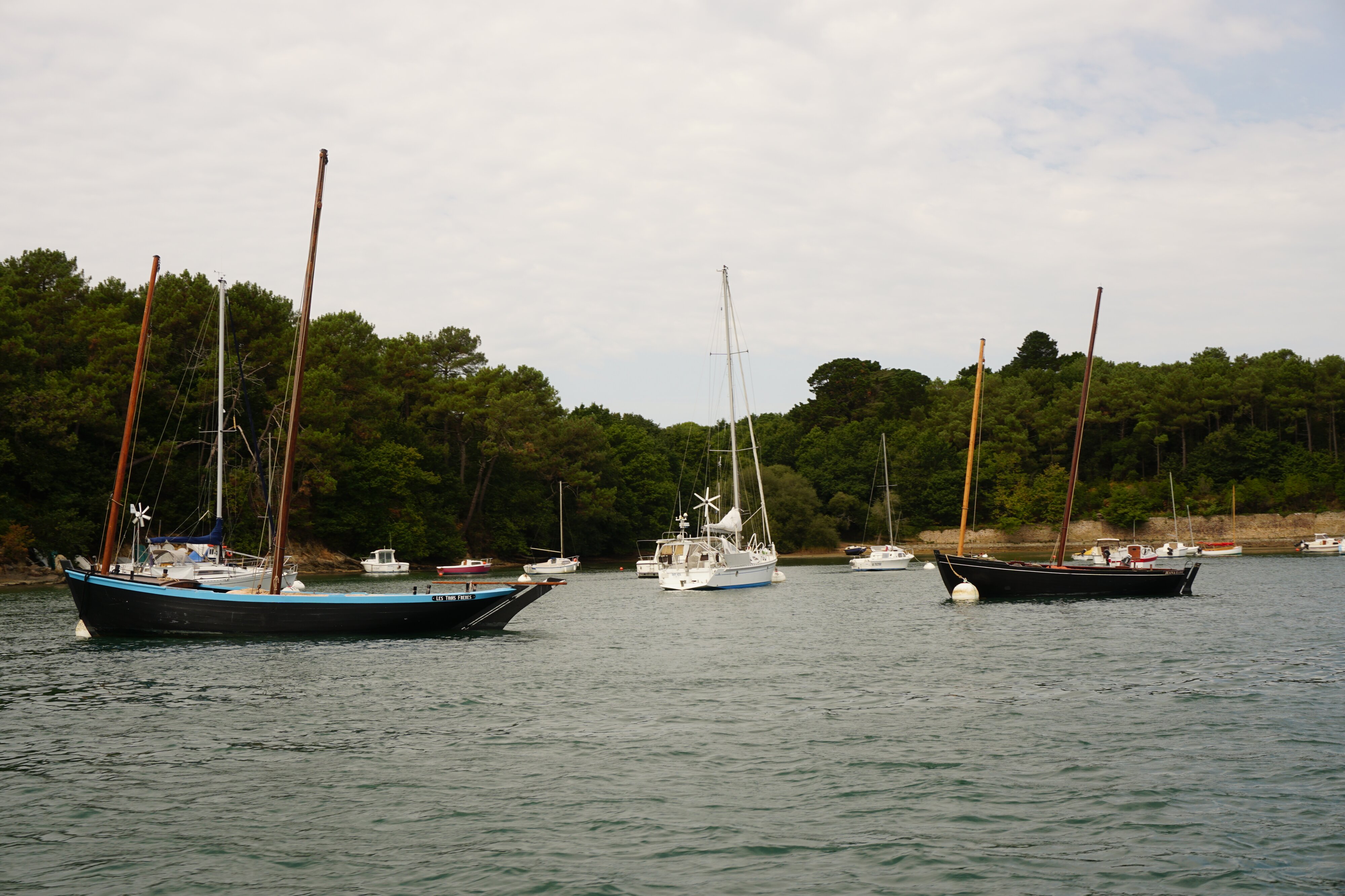 照片 法国(France) 莫尔比昂湾(Golfe du Morbihan) 2016-08 77