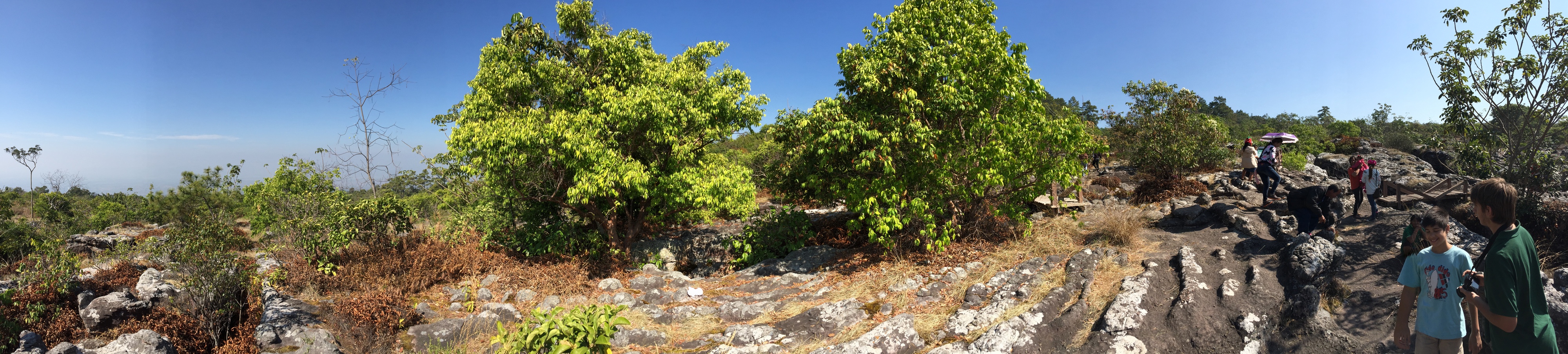 照片 泰国(Thailand) 普欣隆卡国家公园(Phu Hin Rong Kla National Park) 2014-12 402