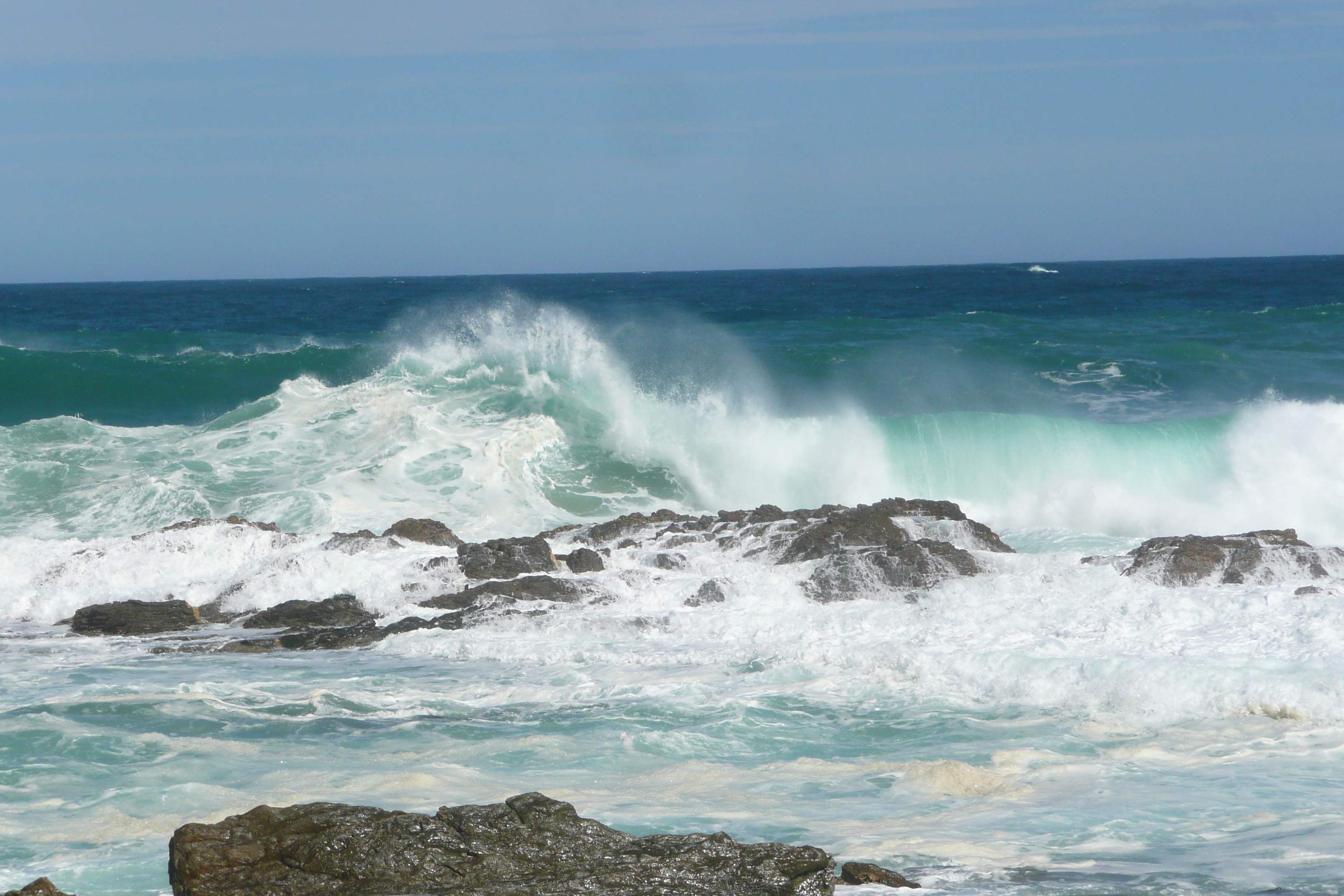 照片 南非(South Africa) 齐齐卡马国家公园(Tsitsikamma National Park) 2008-09 399