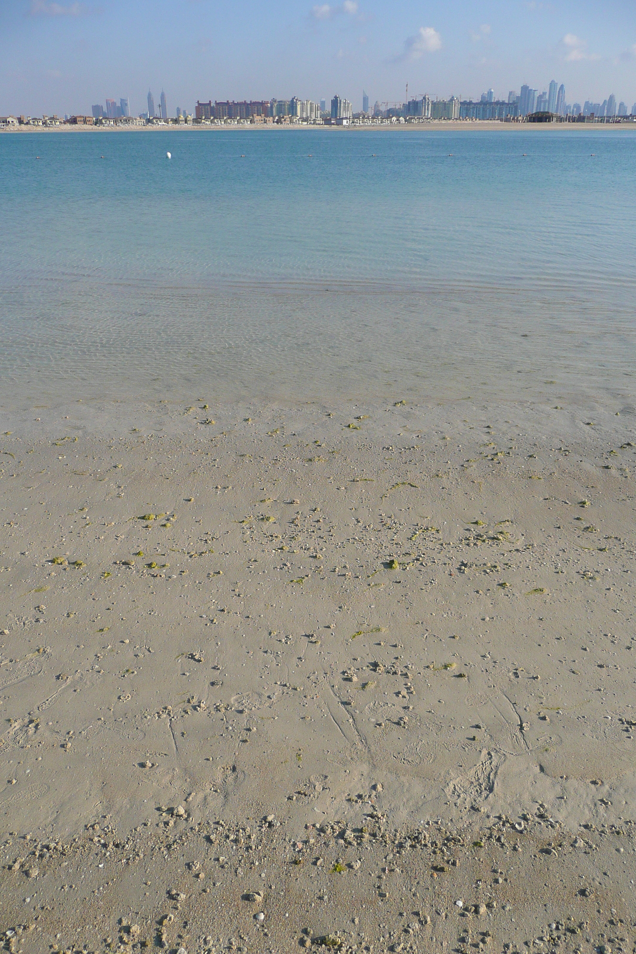 照片 阿联酋(United Arab Emirates) 迪拜(Dubai) 朱美拉棕榈岛(Palm Jumeirah) 2009-01 36