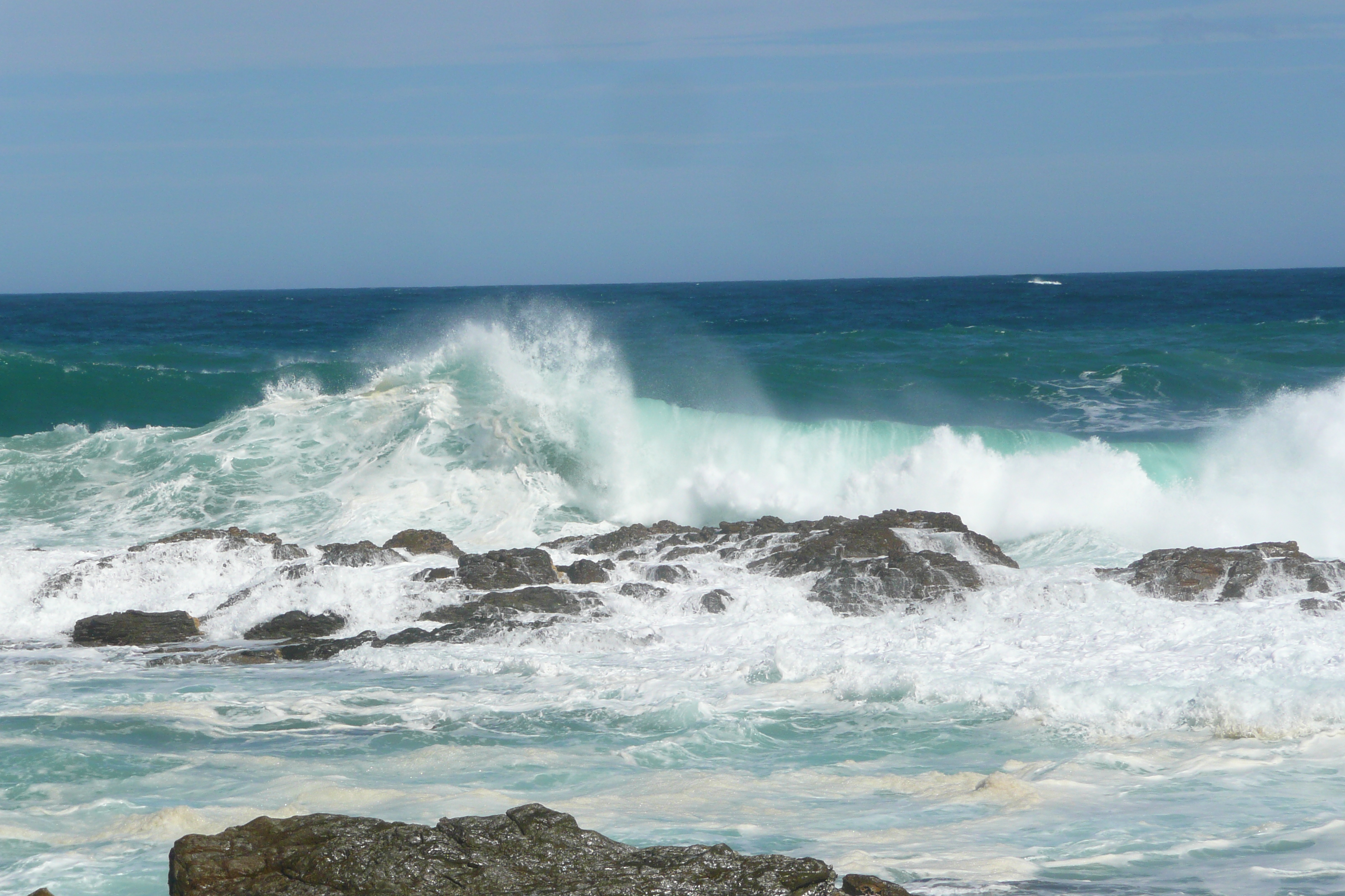 照片 南非(South Africa) 齐齐卡马国家公园(Tsitsikamma National Park) 2008-09 365