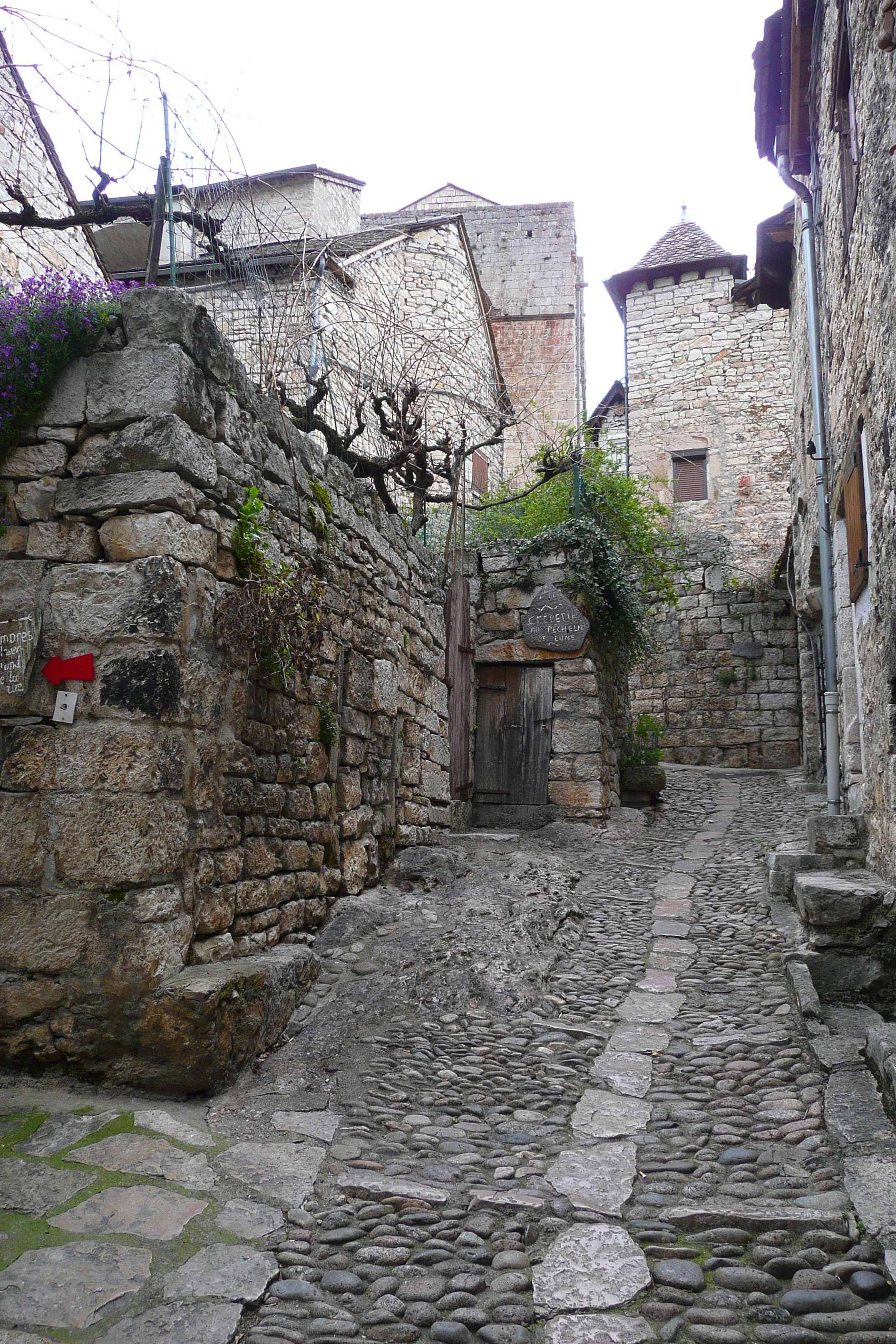 照片 法国(France) 圣埃尼米(Sainte Enimie) 2008-04 38