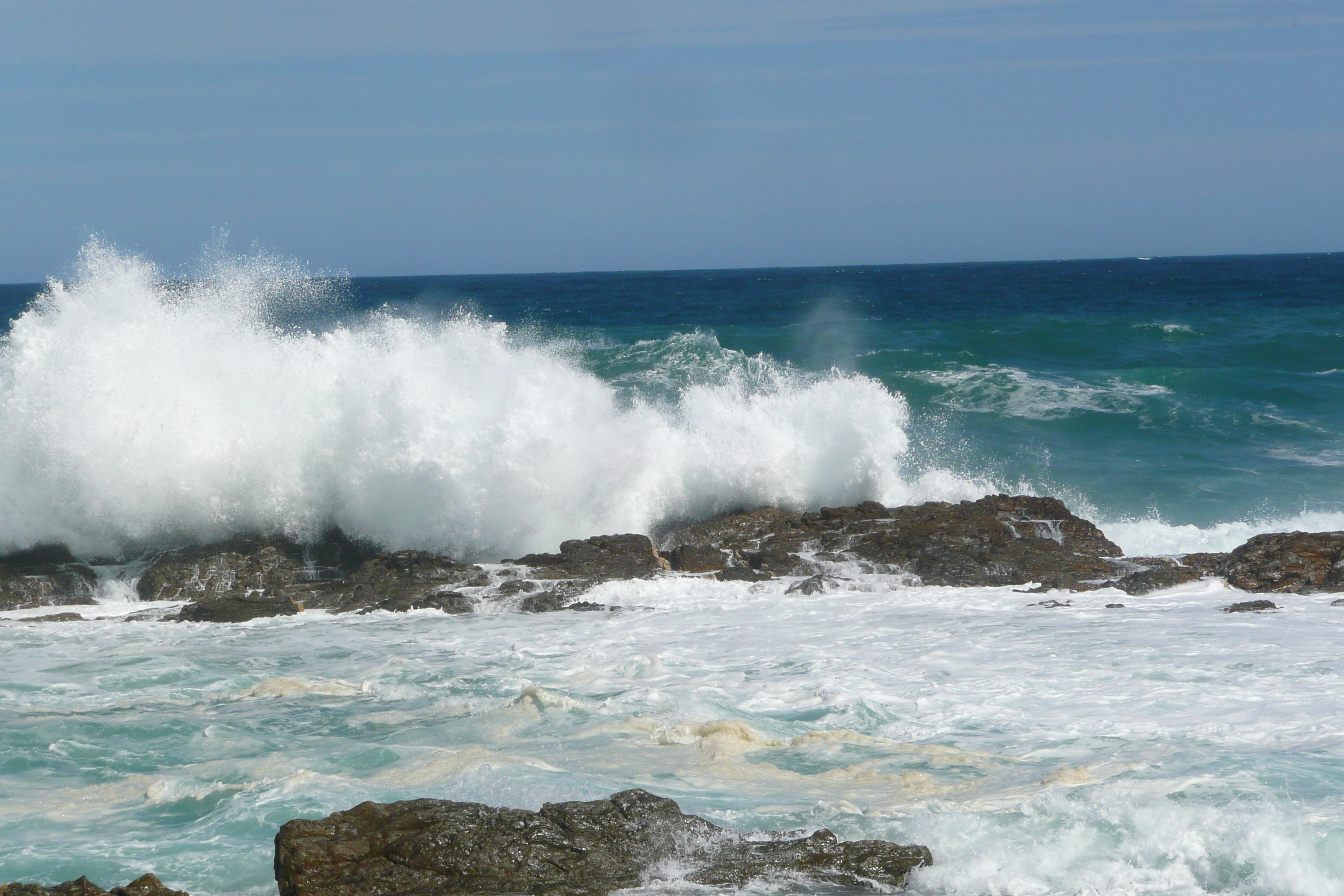 照片 南非(South Africa) 齐齐卡马国家公园(Tsitsikamma National Park) 2008-09 477